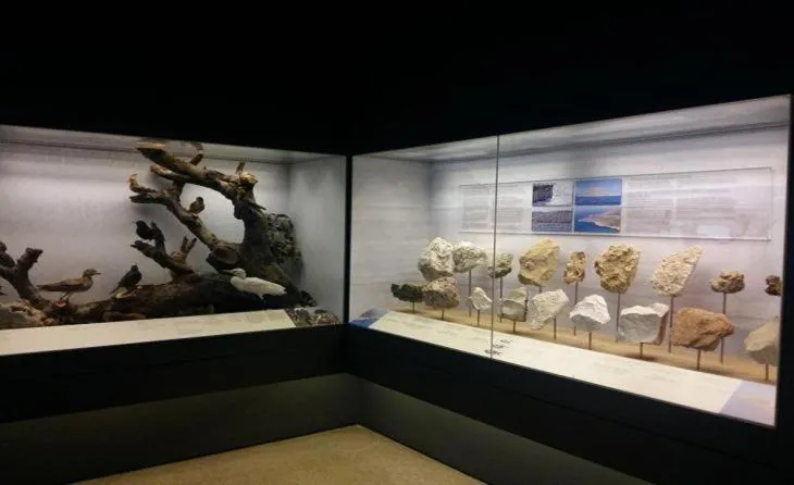 Nearby landmark in Odessa Beach Hotel