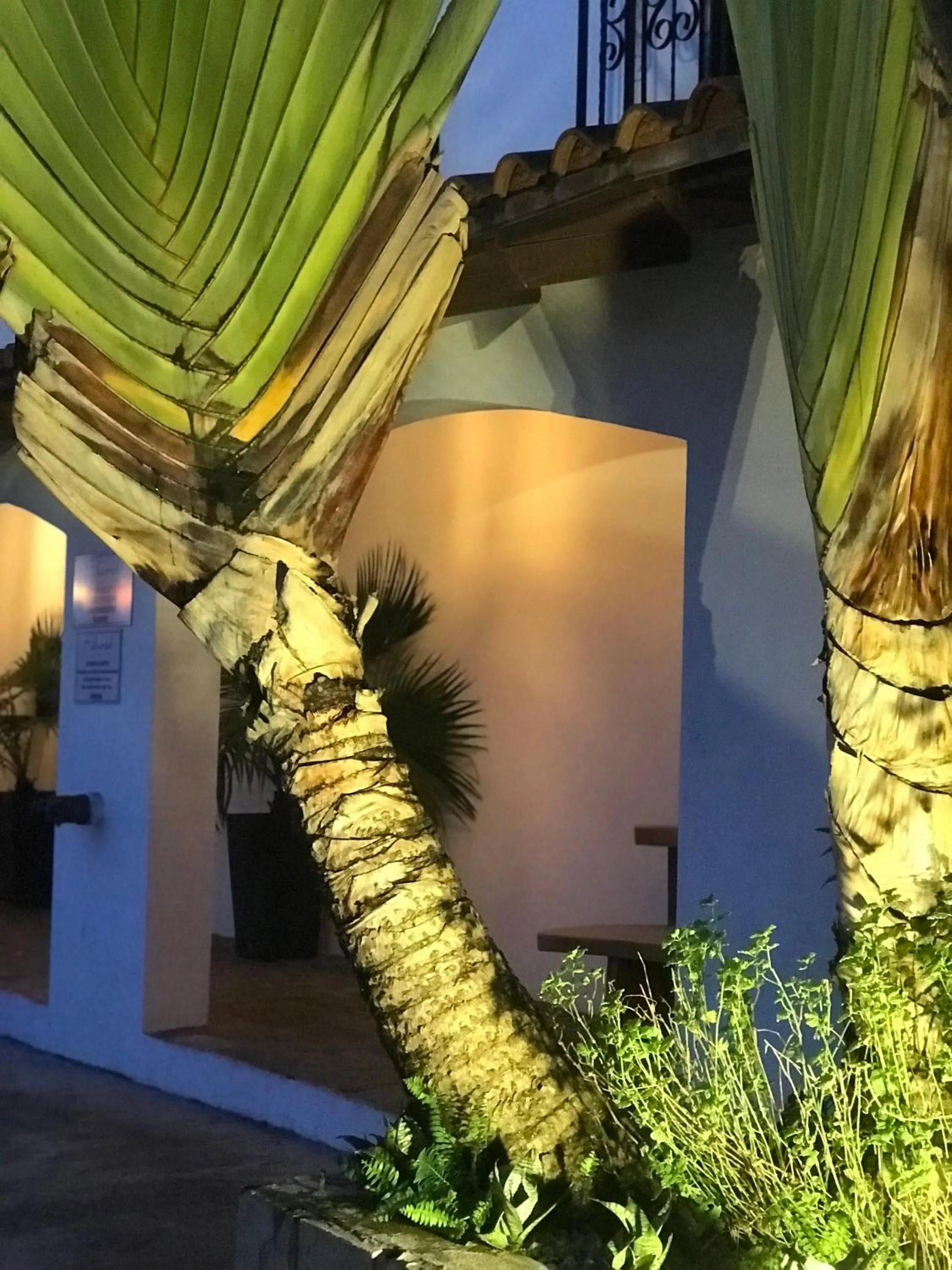 Facade/entrance in Hotel Gran David