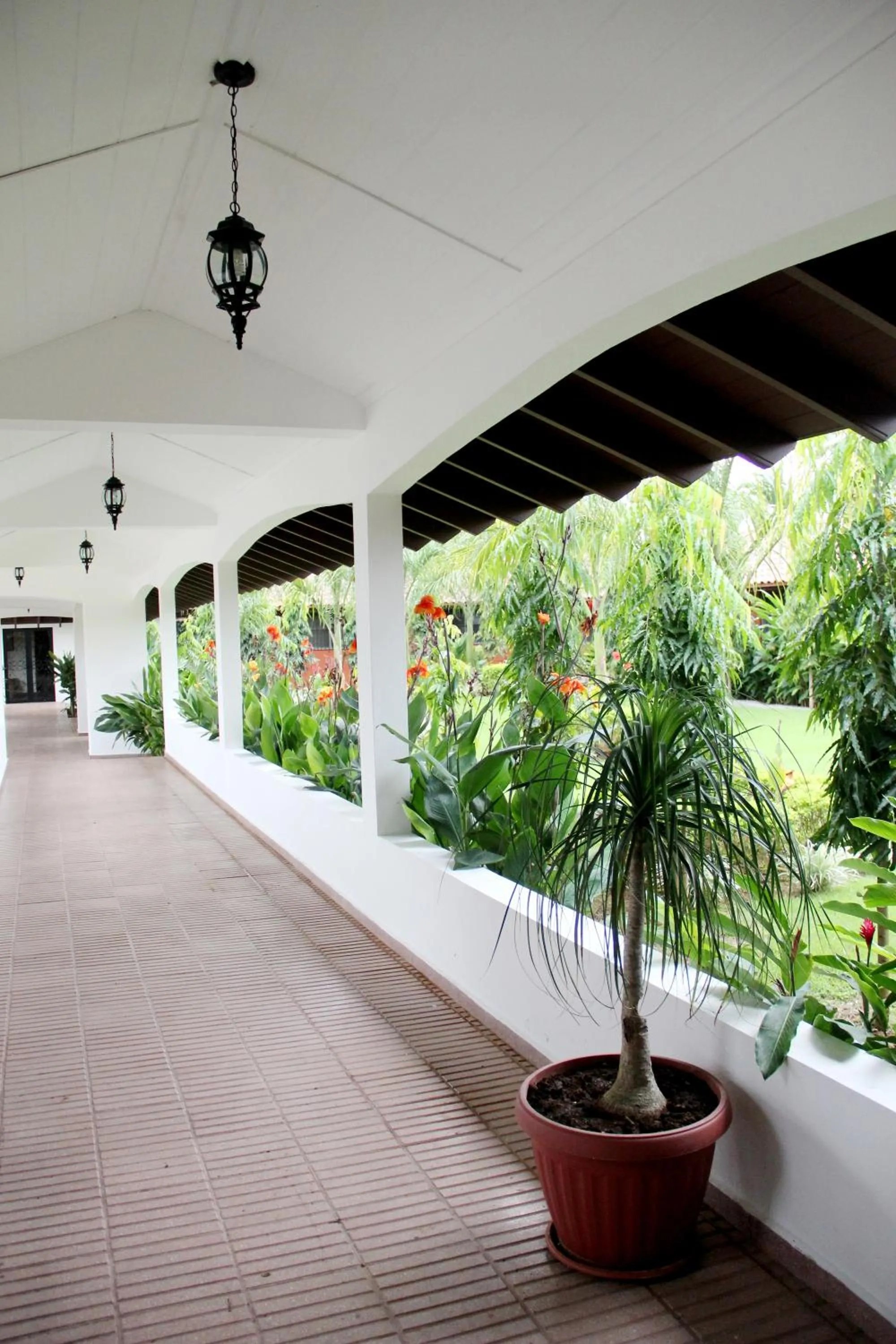 Day in Hotel Gran David