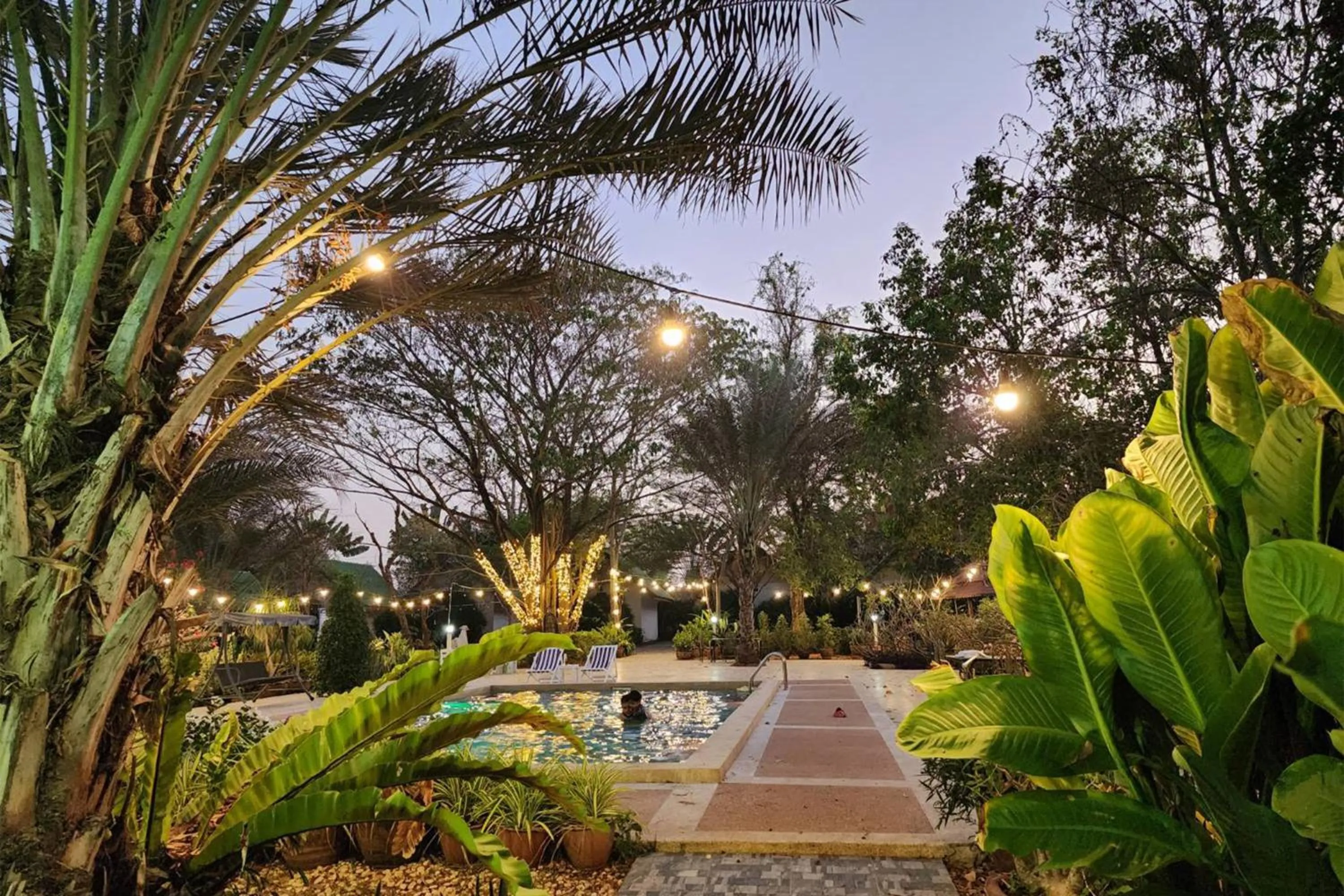 Garden in Rung Rueng Resort