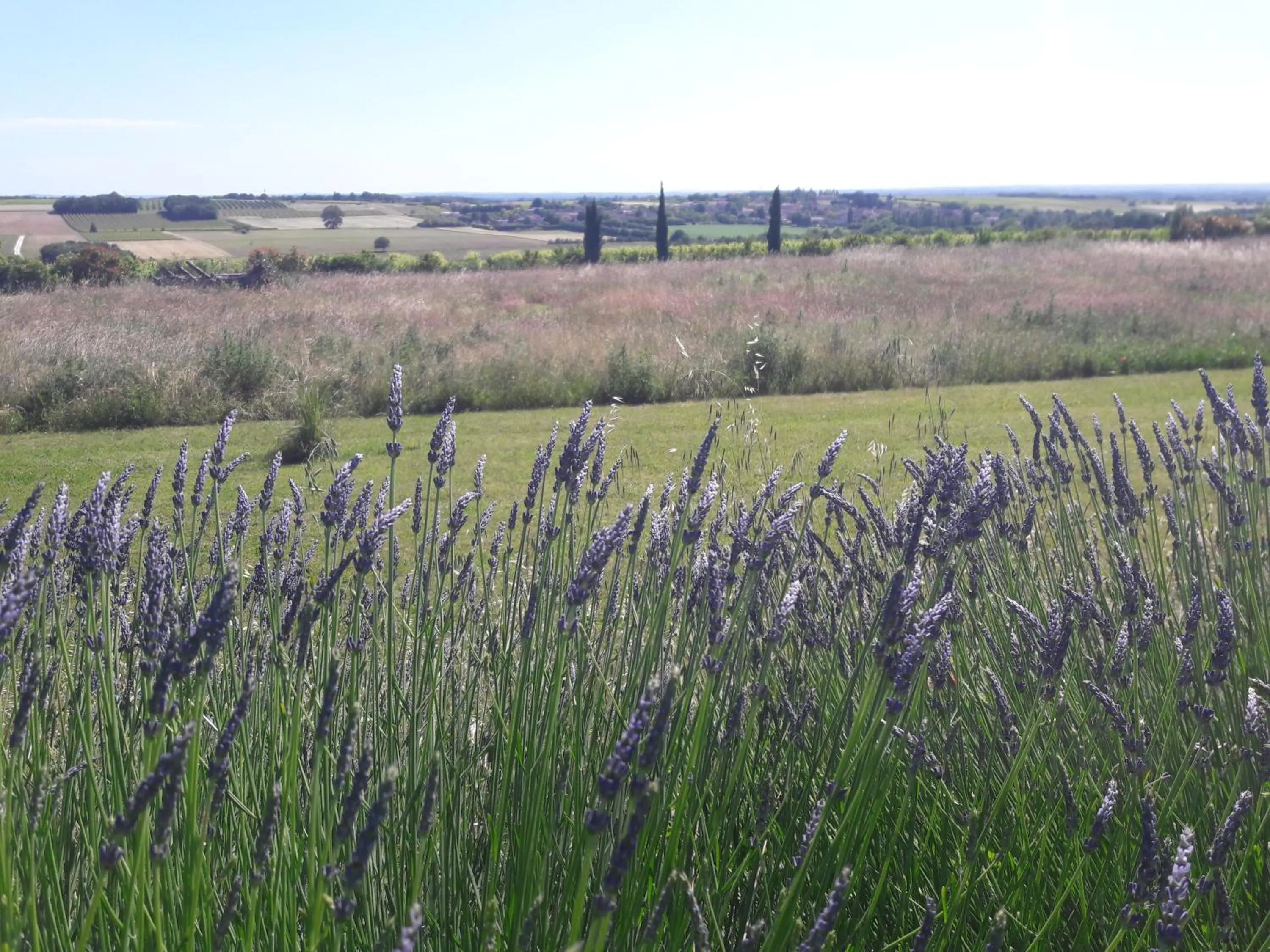 View (from property/room) in Le Dojo du Plessis