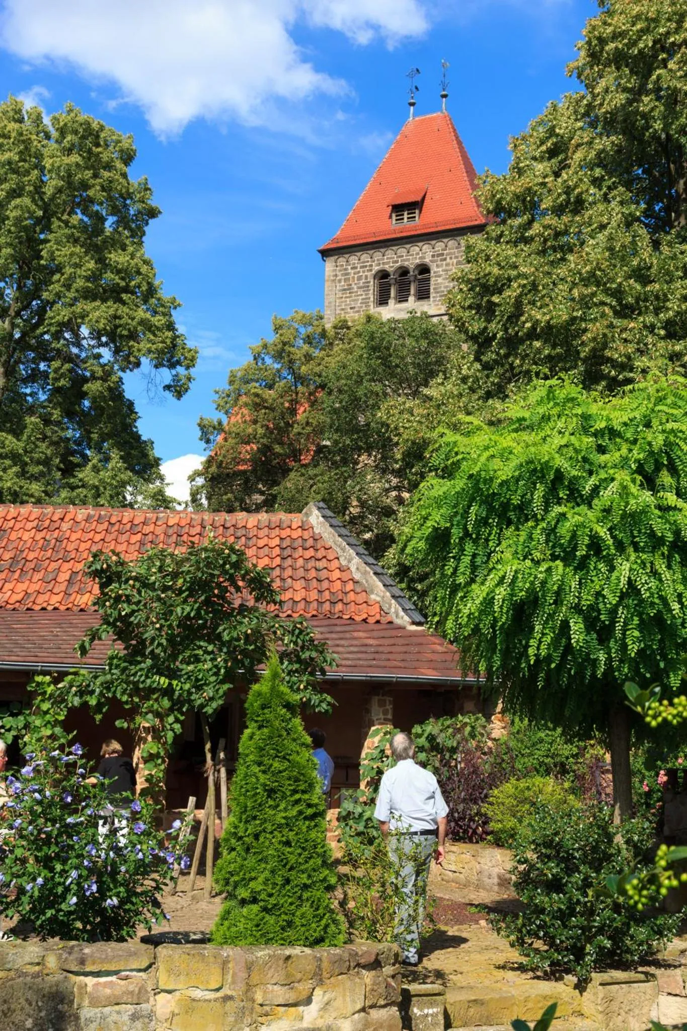 Garden in Hotel Bellini