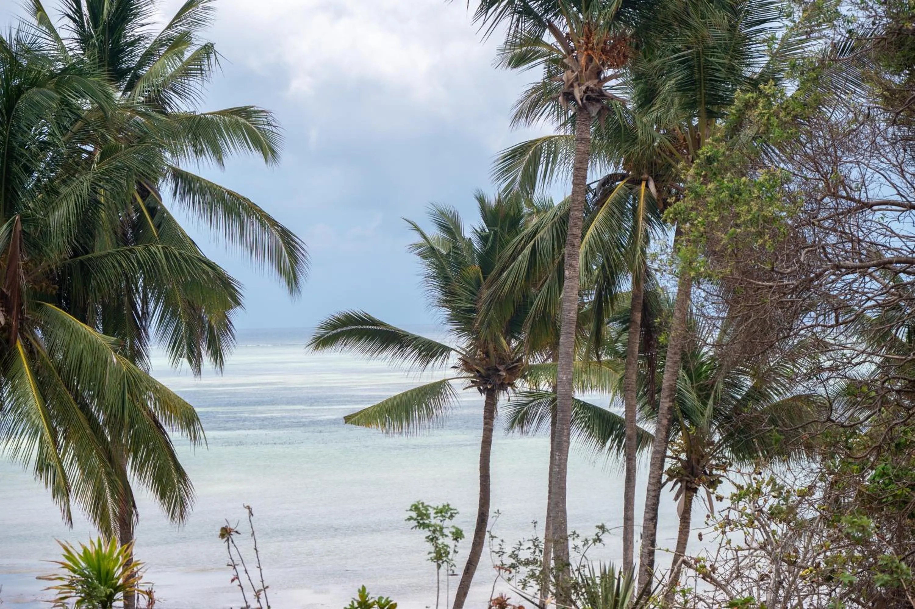 Beach in Royal Mandarin Hotel & Resort