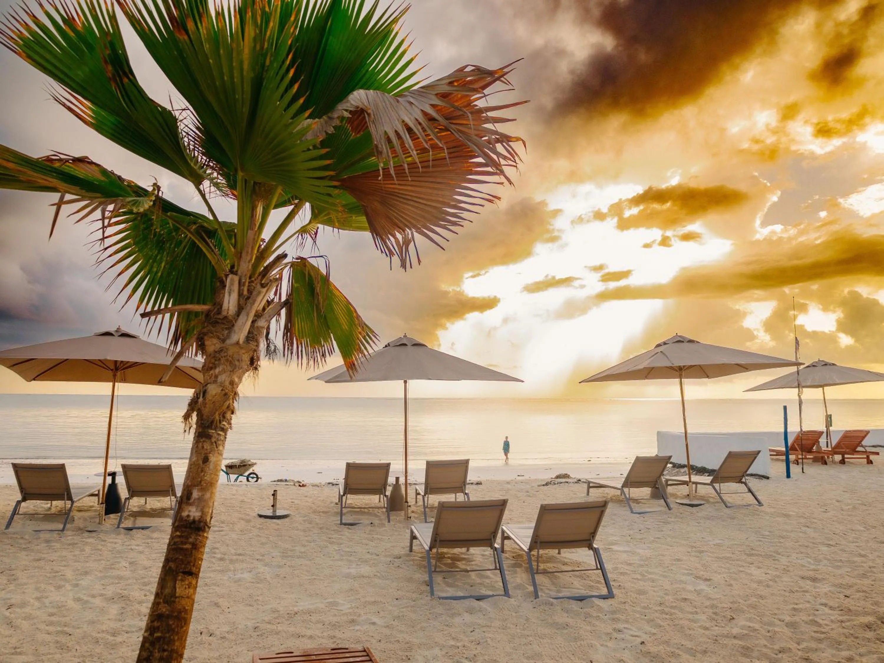 Beach in Royal Mandarin Hotel & Resort Zanzibar