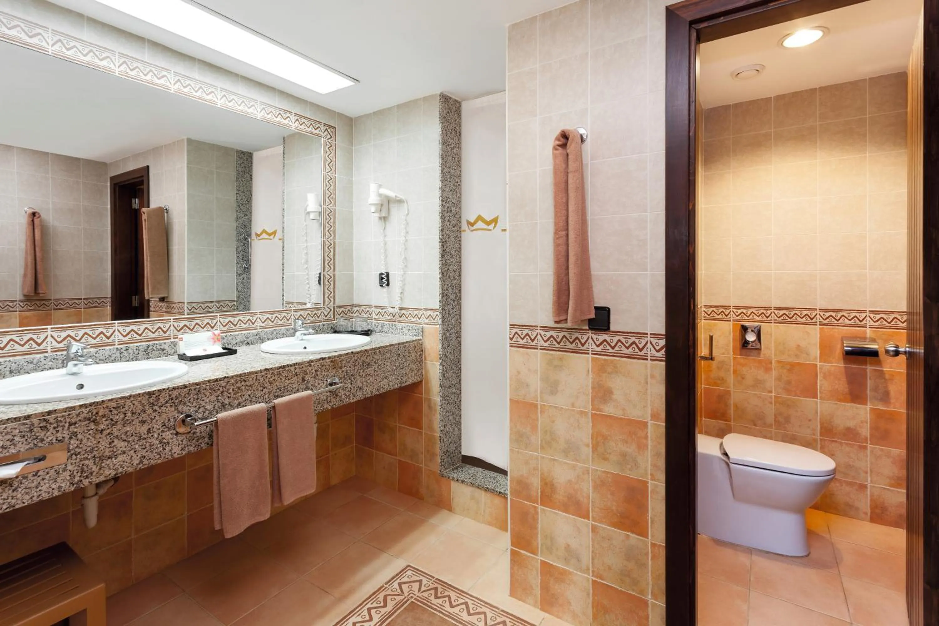 Toilet in Hotel Riu Touareg - All Inclusive