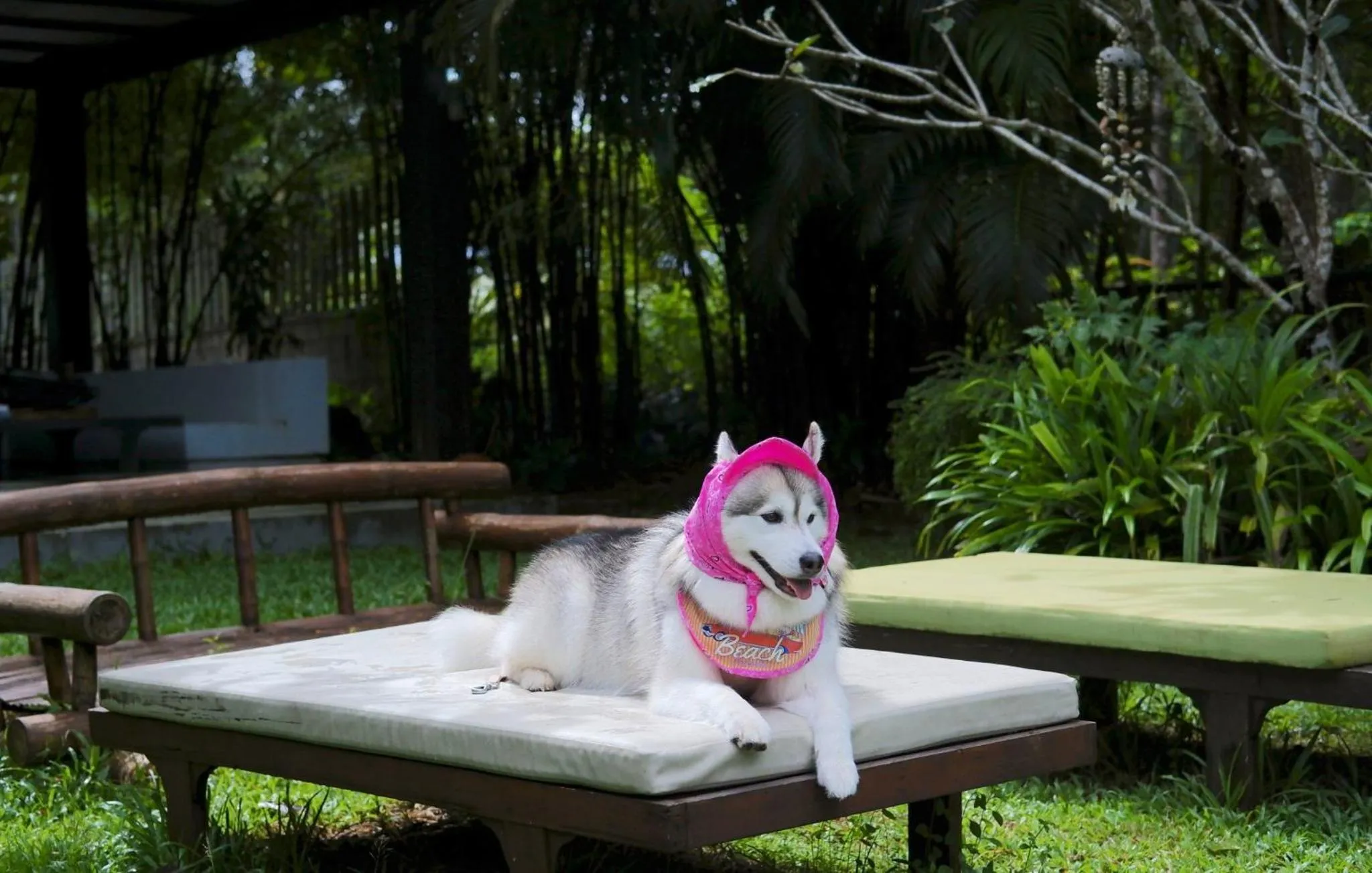 Swimming pool in Kokotel Khao Lak Isara Casa