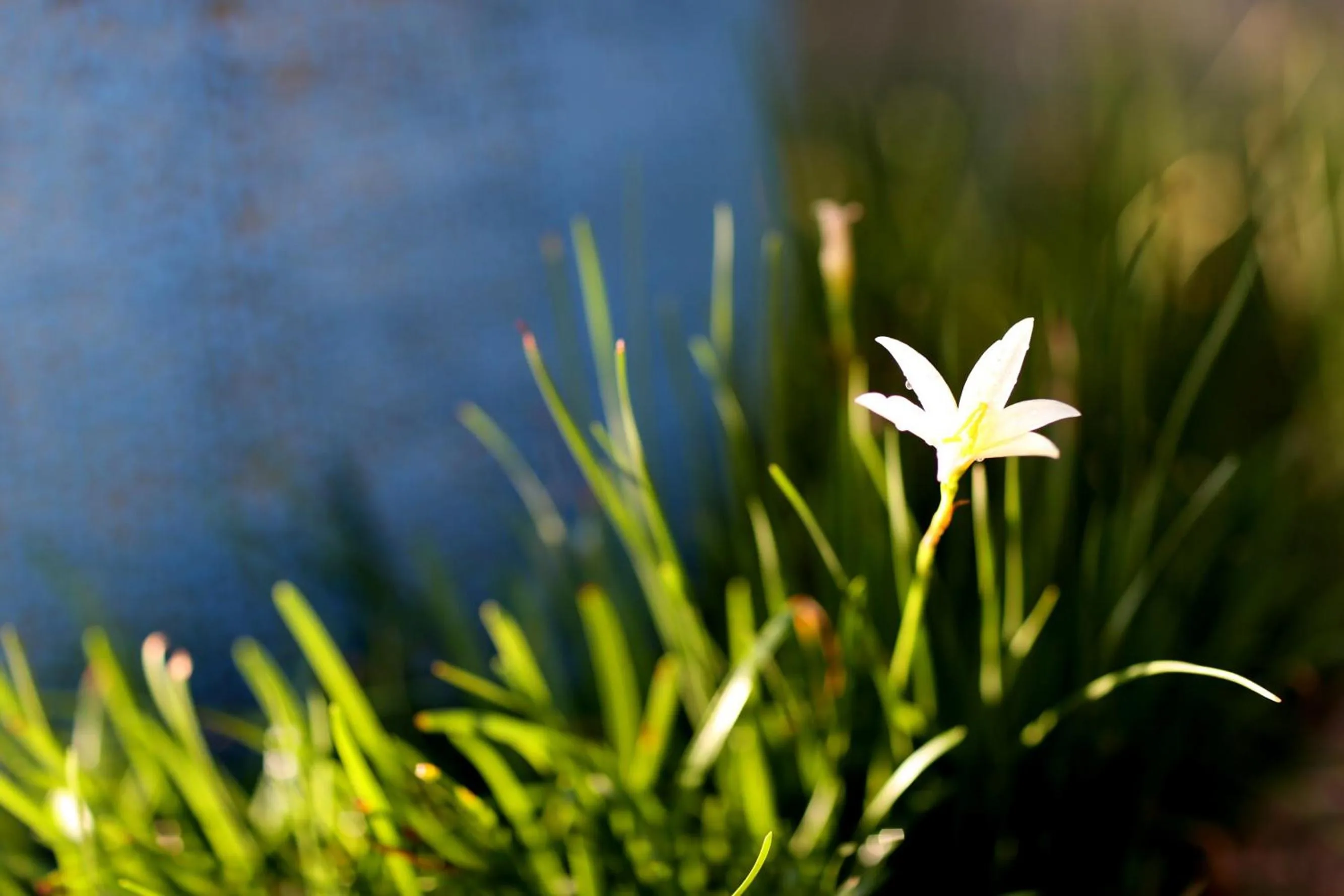 Other in Seava House Ao-Nang Krabi