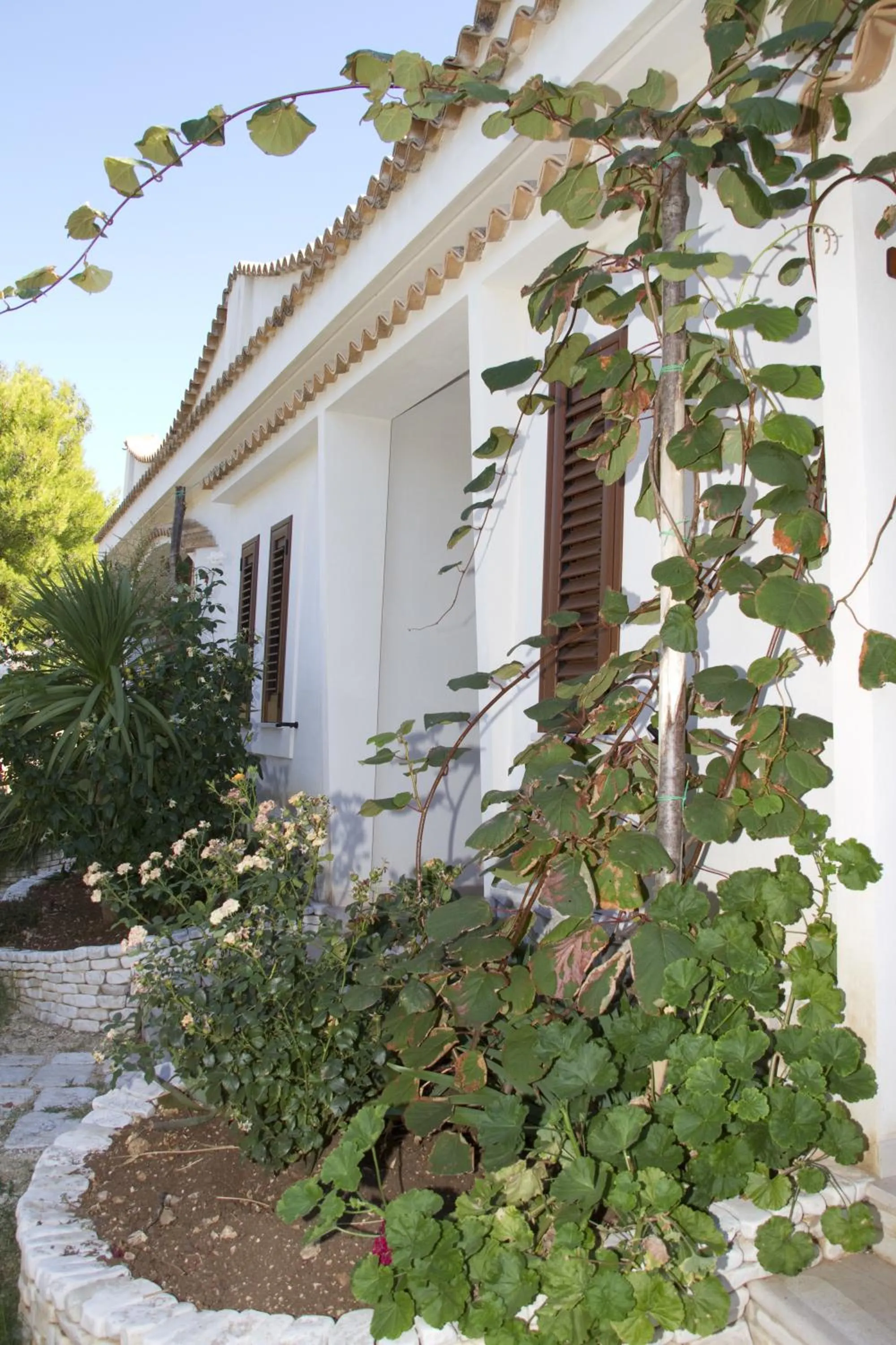 Facade/entrance in Oasi Beach Hotel