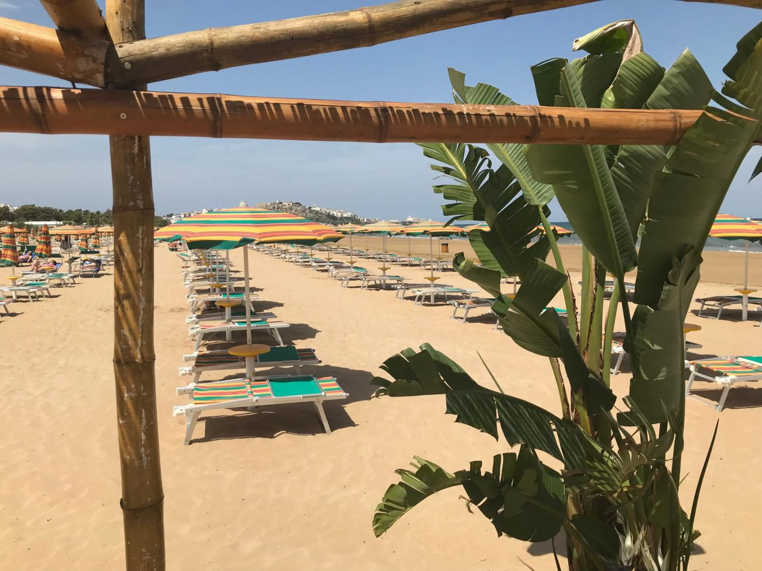 Beach in Oasi Beach Hotel