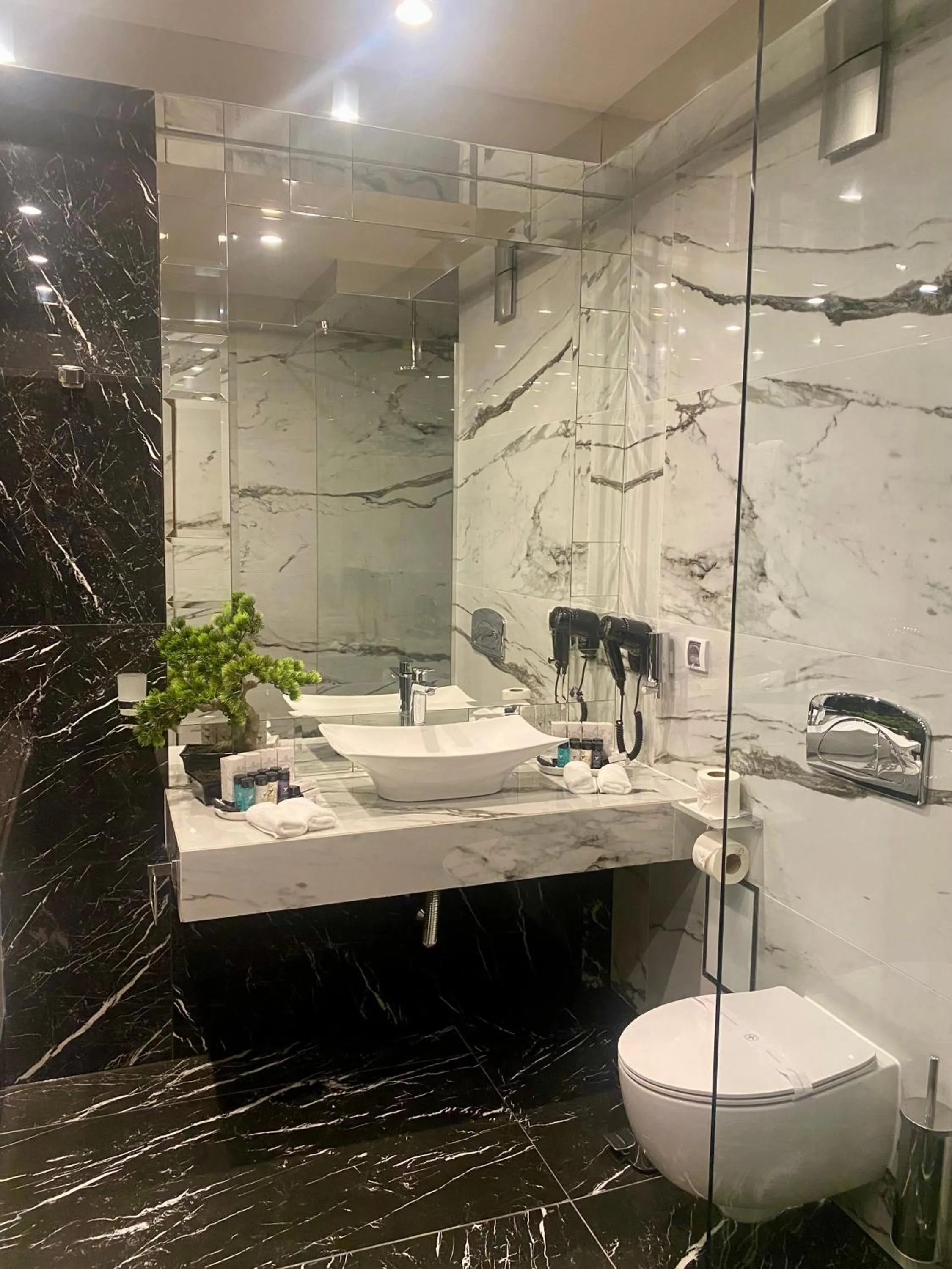 Bathroom in Hotel Royal Plovdiv