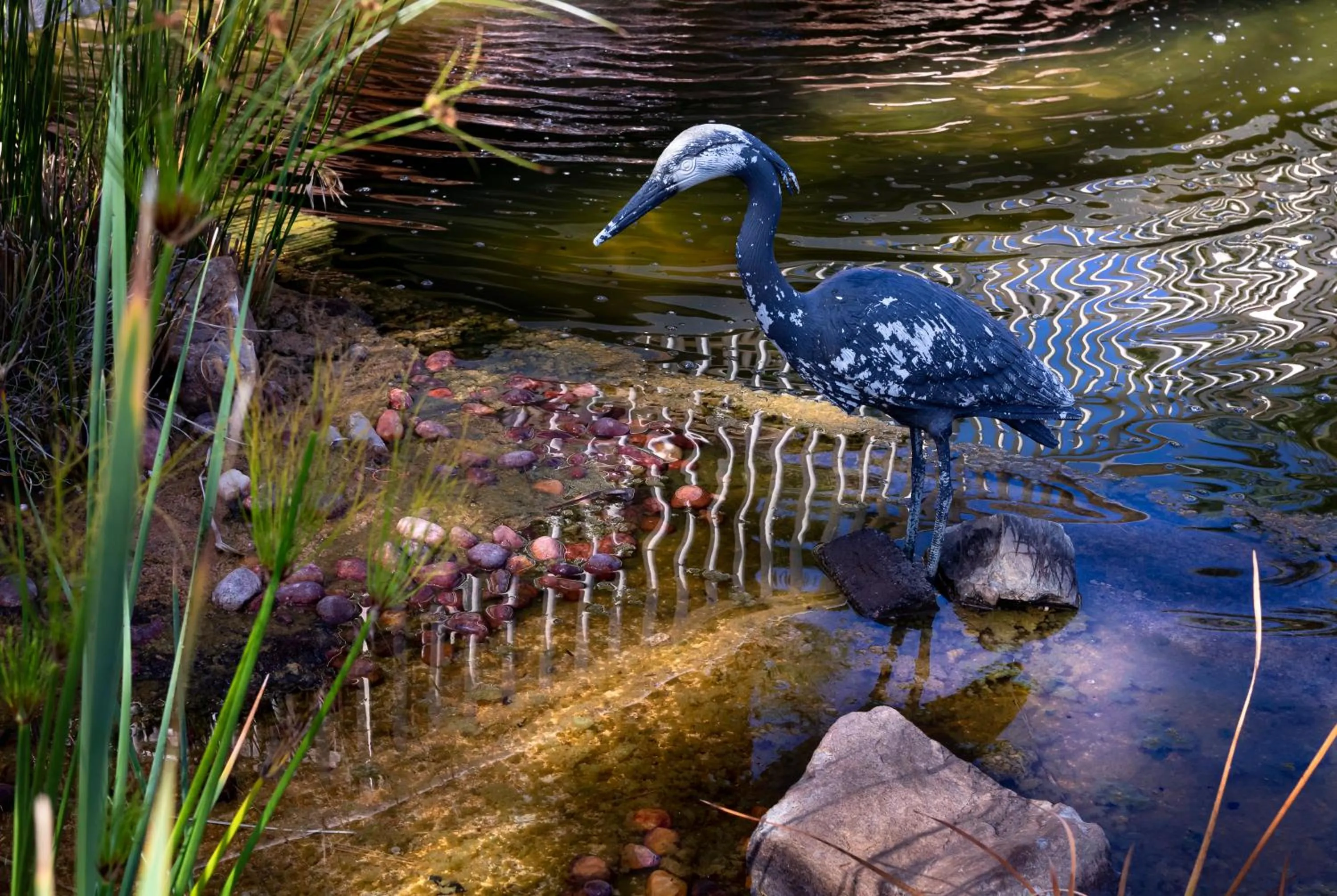 Animals in Bolivia Lodge