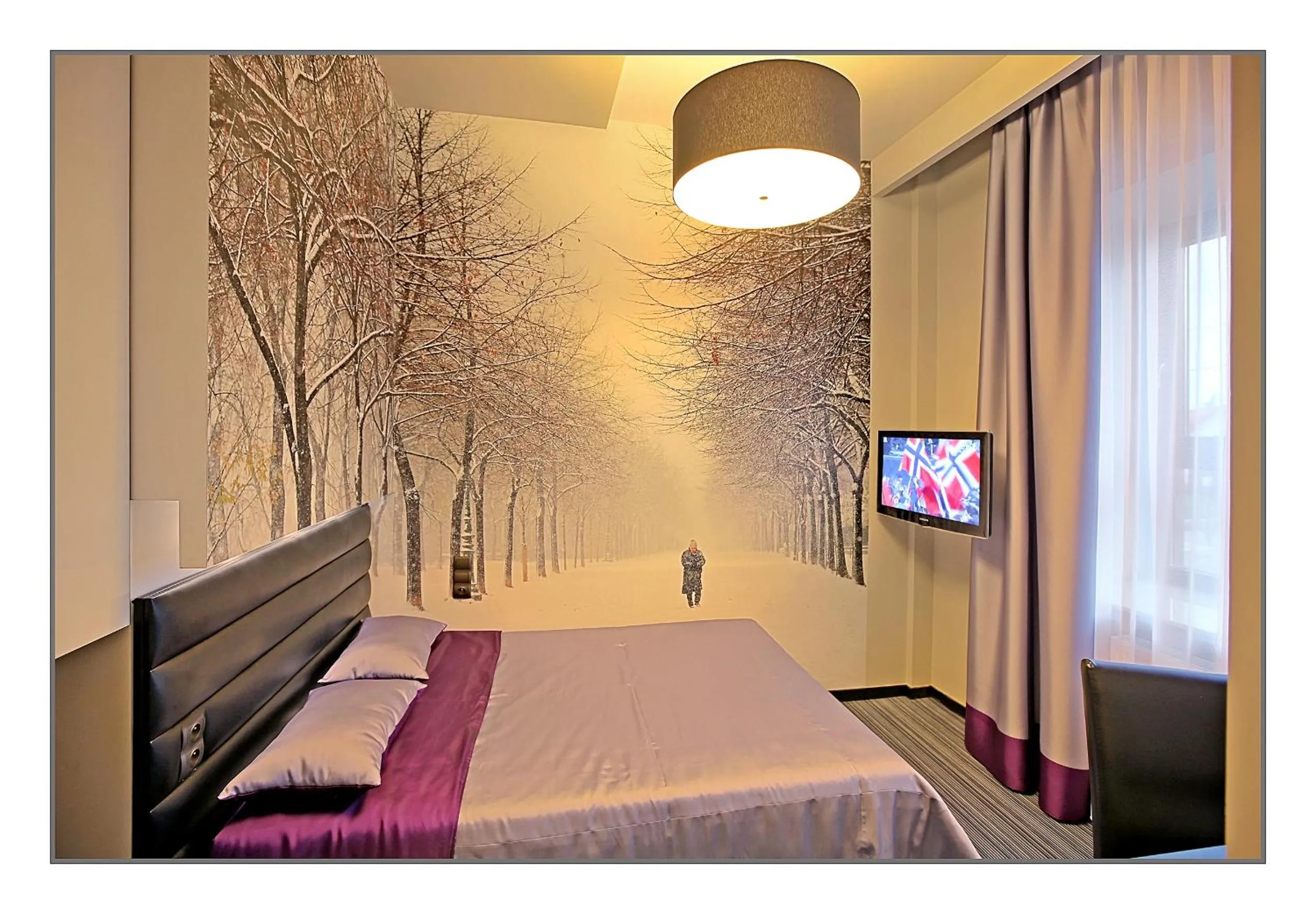 Deluxe Double Room - single occupancy in Villa Park