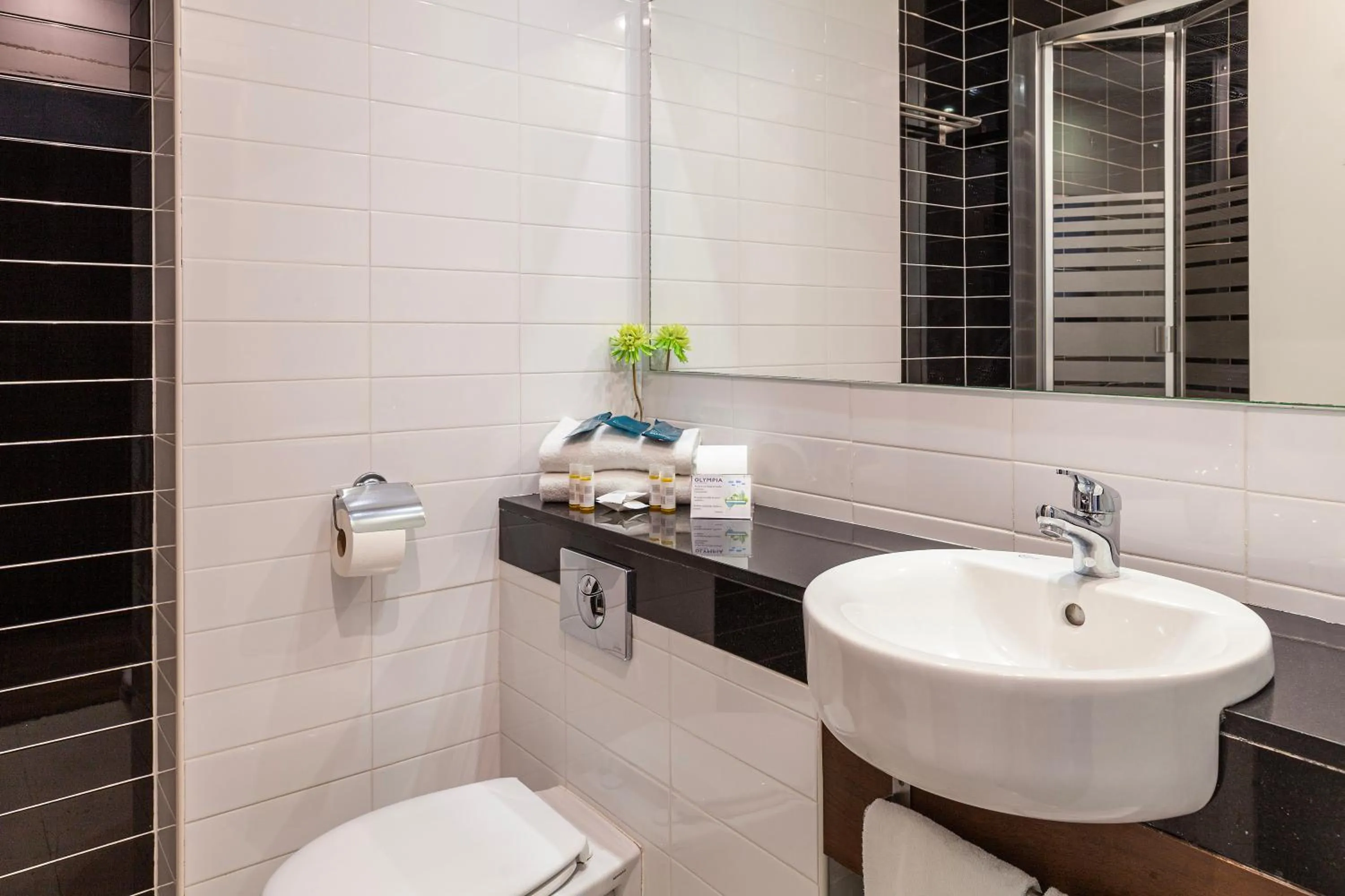 Bathroom in Hotel Olympia Universidades