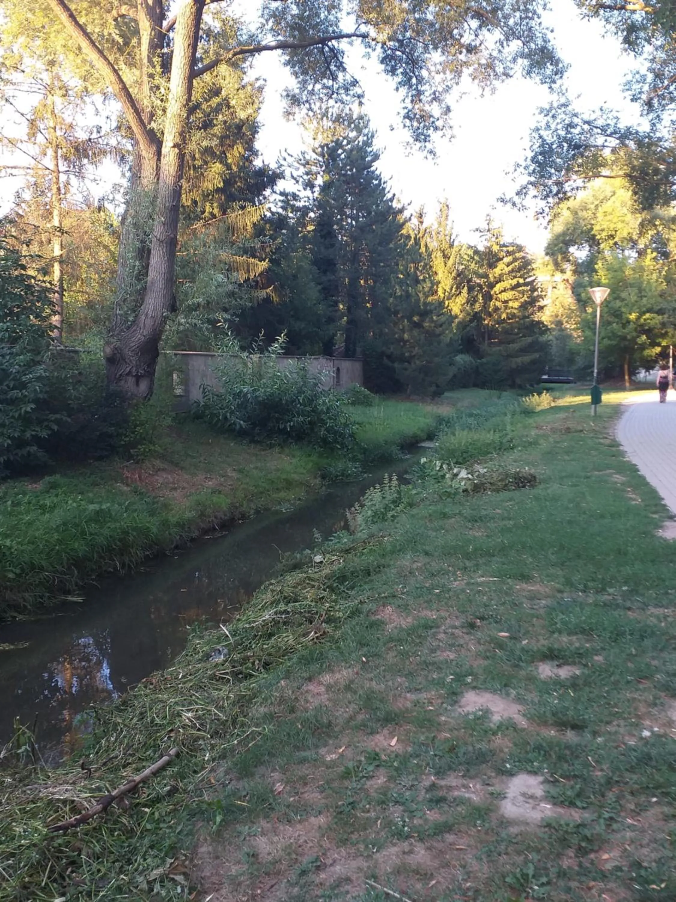 Neighbourhood in Galeria Villa