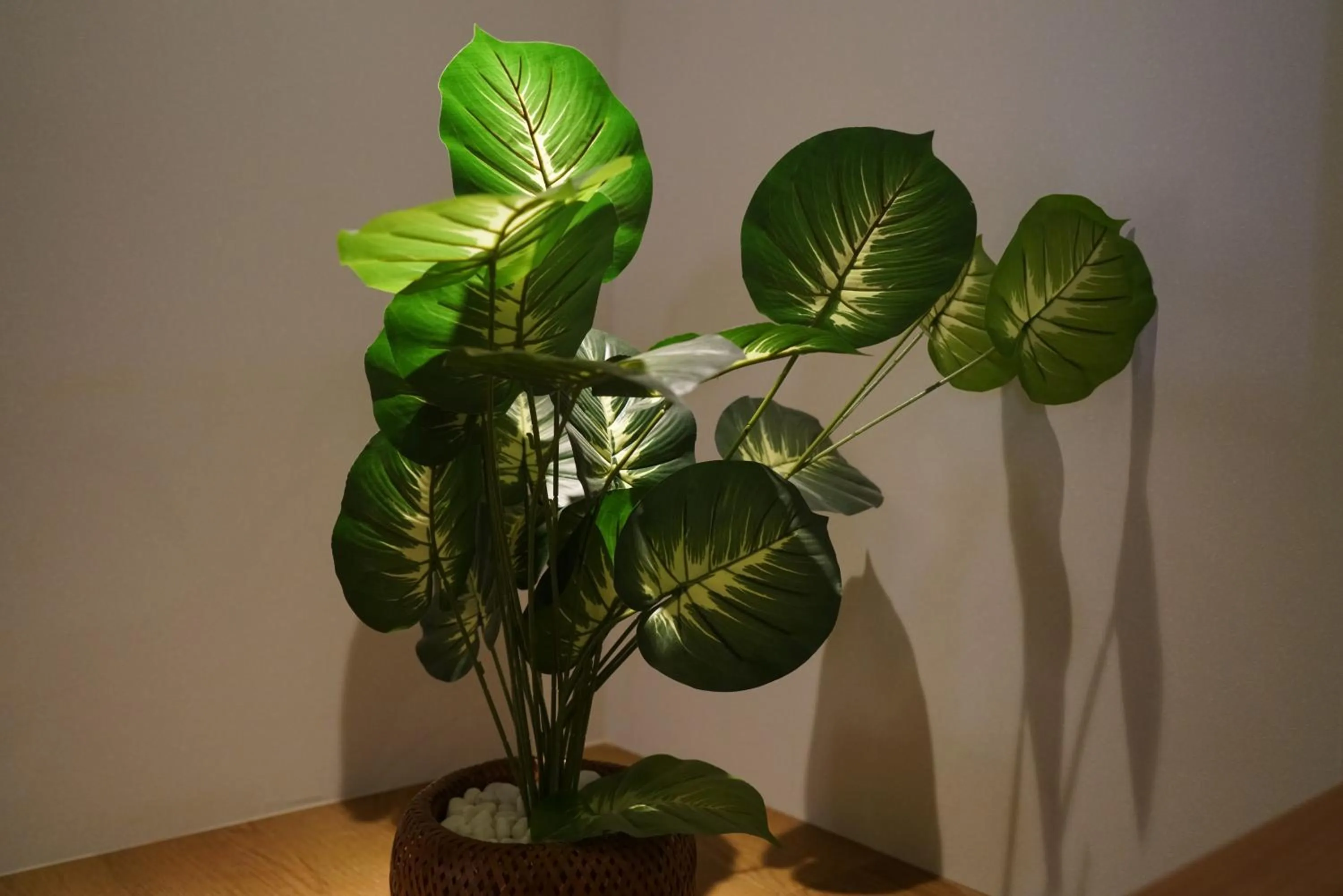 Softlight Inn Asakusa Tokyo