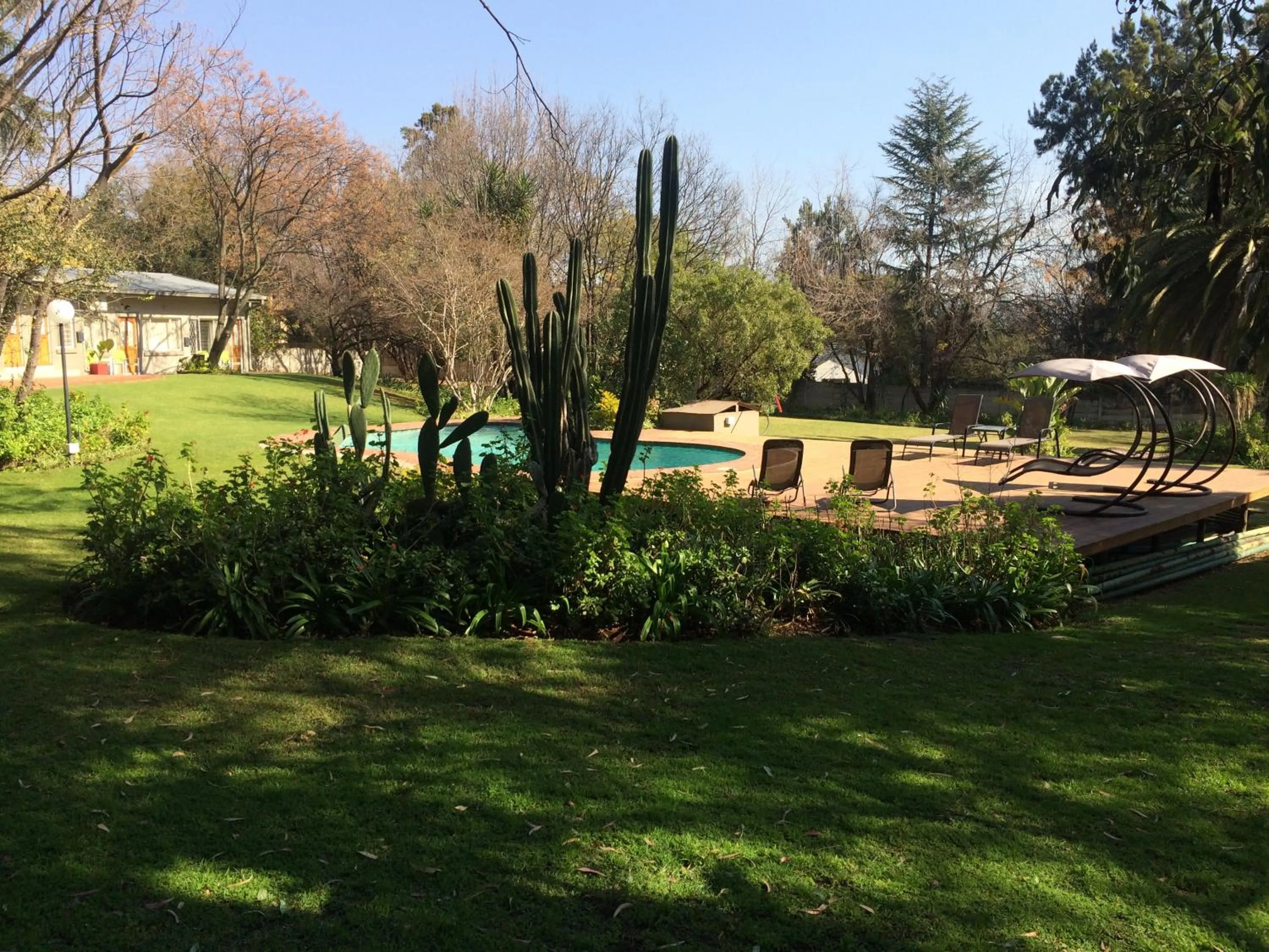 Garden in The Haystack On Homestead