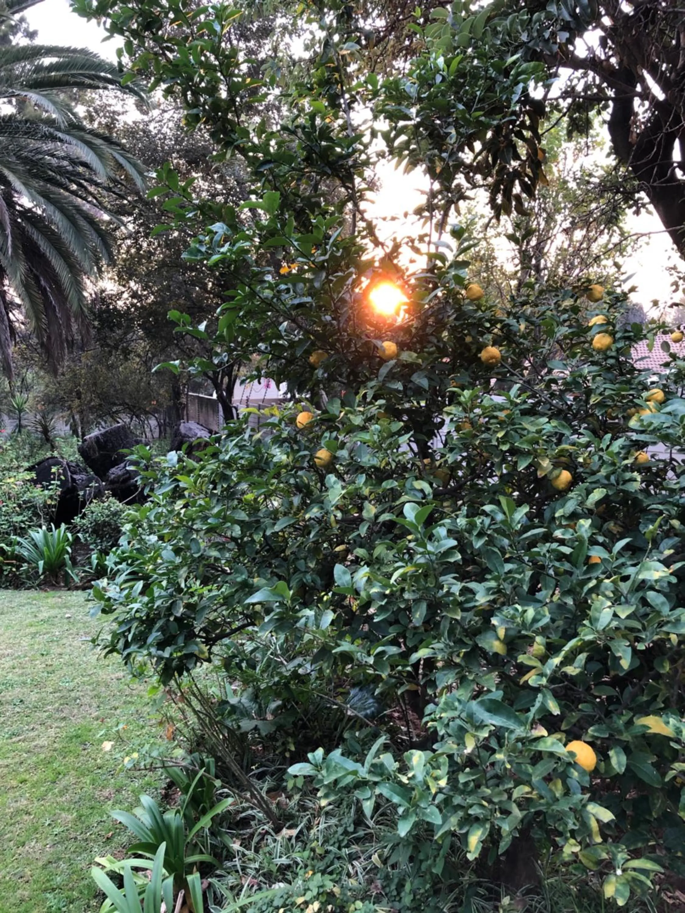 Garden view in The Haystack On Homestead
