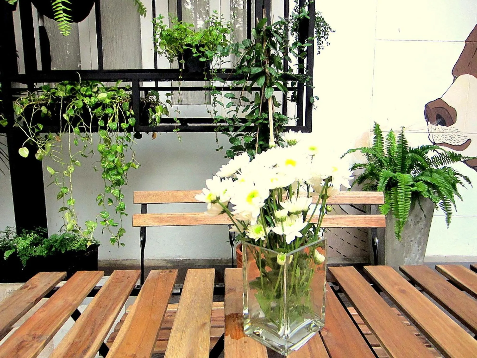 Garden in Chiang Mai D Hostel