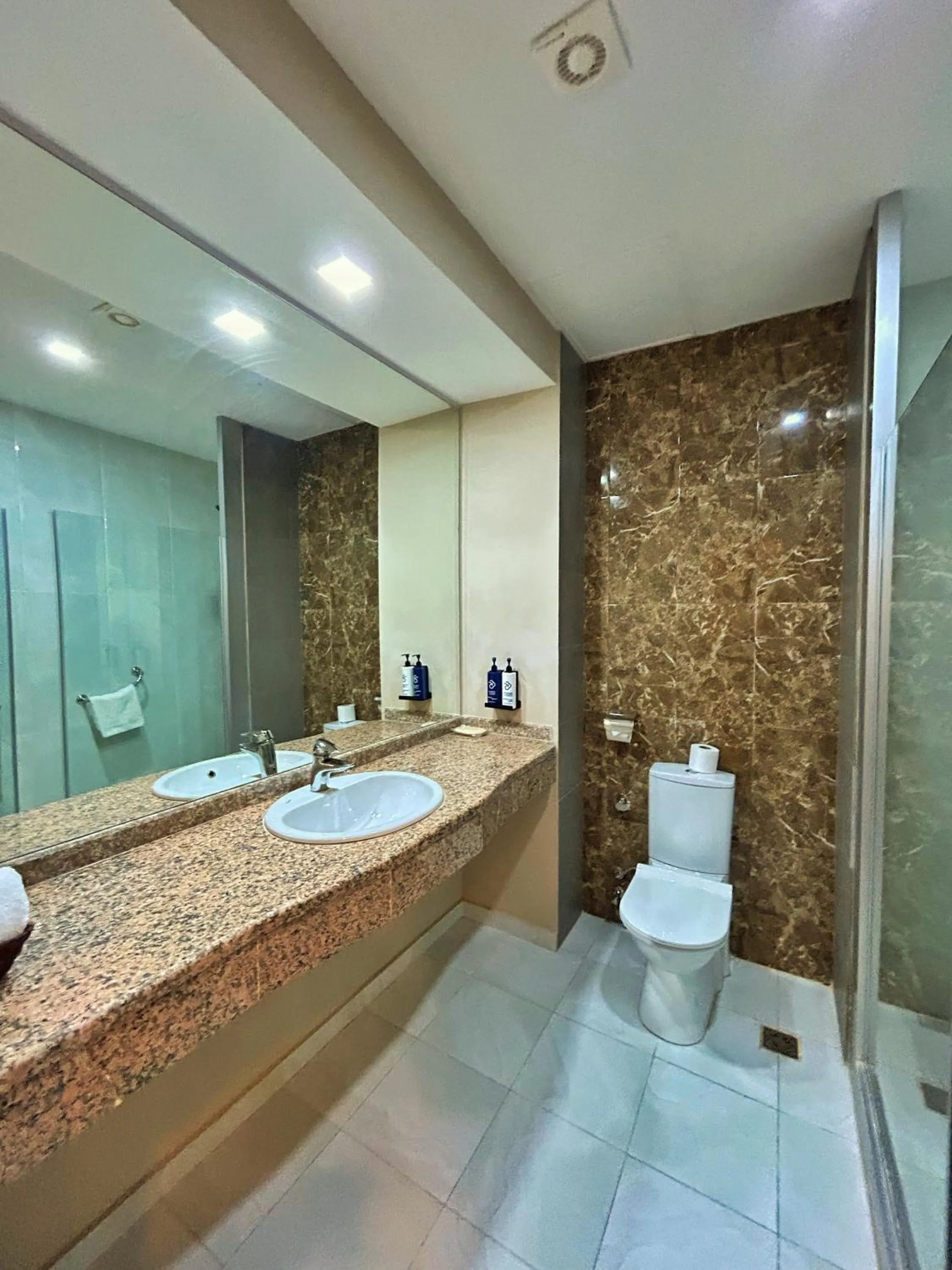 Toilet in Park Dedeman Baku