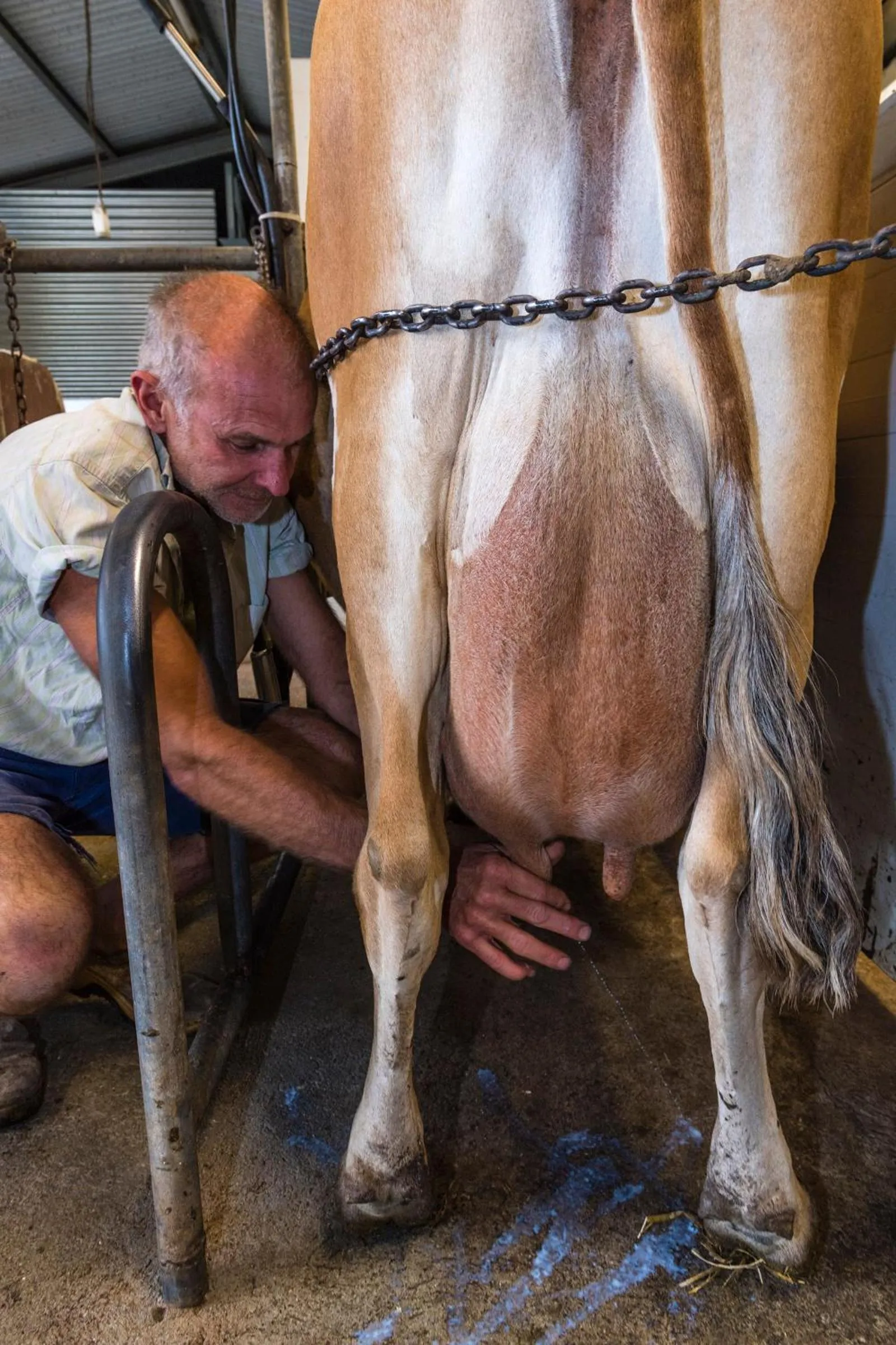 Property building in Dairyman's Cottage