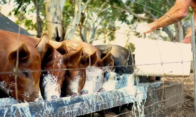 Property building in Dairyman's Cottage