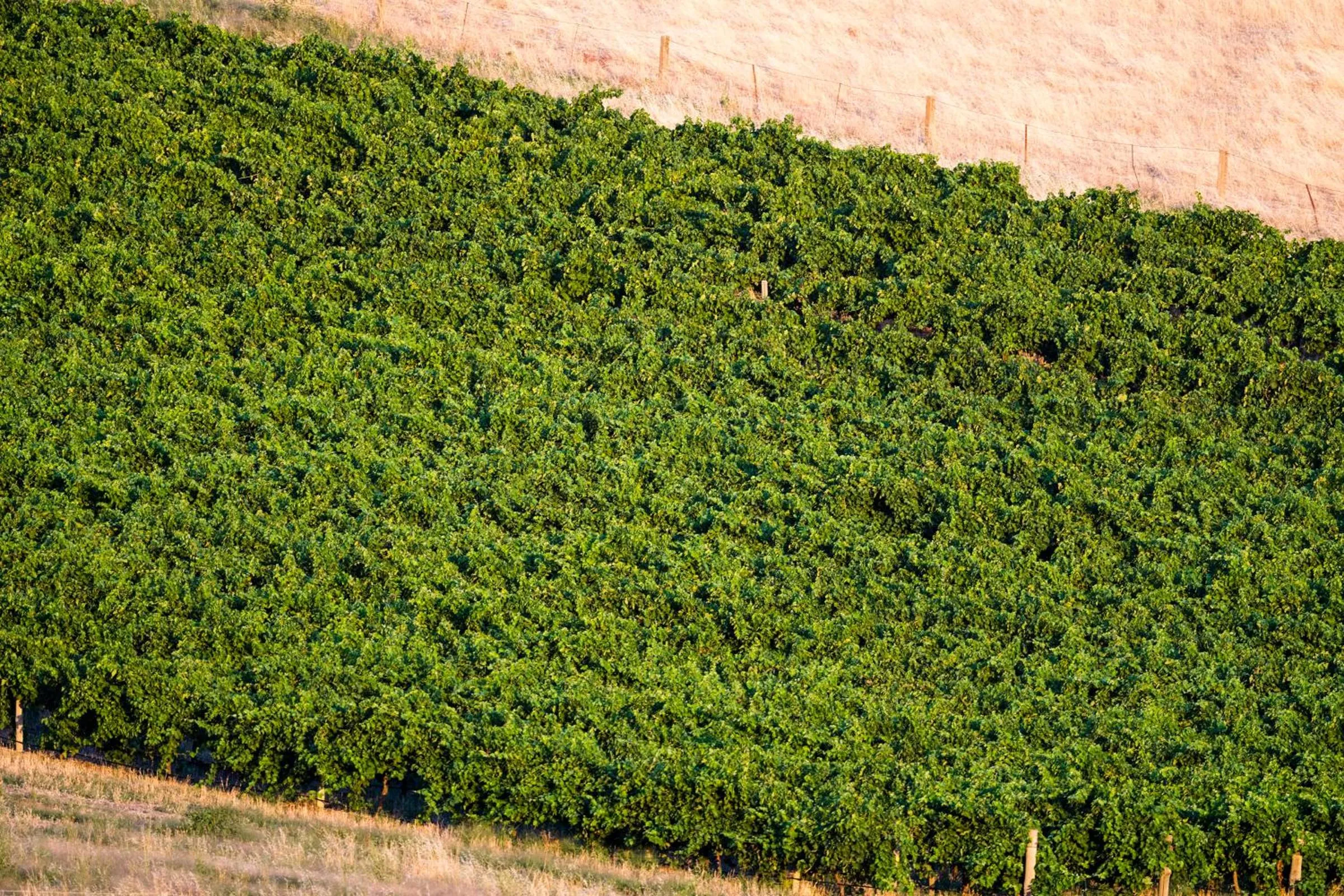 Property building in Dairyman's Cottage