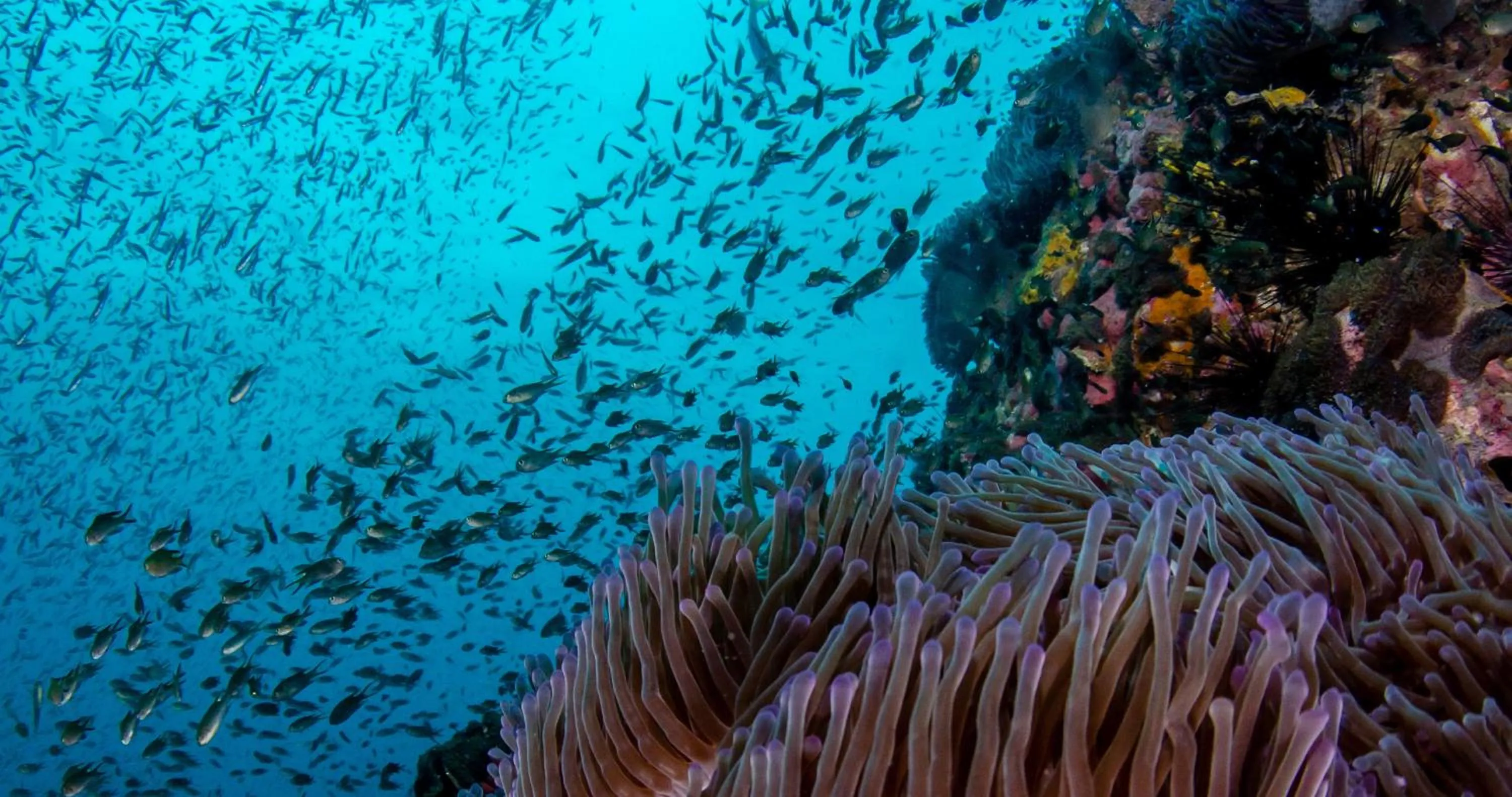 Activities in The Tarna Resort, Koh Tao