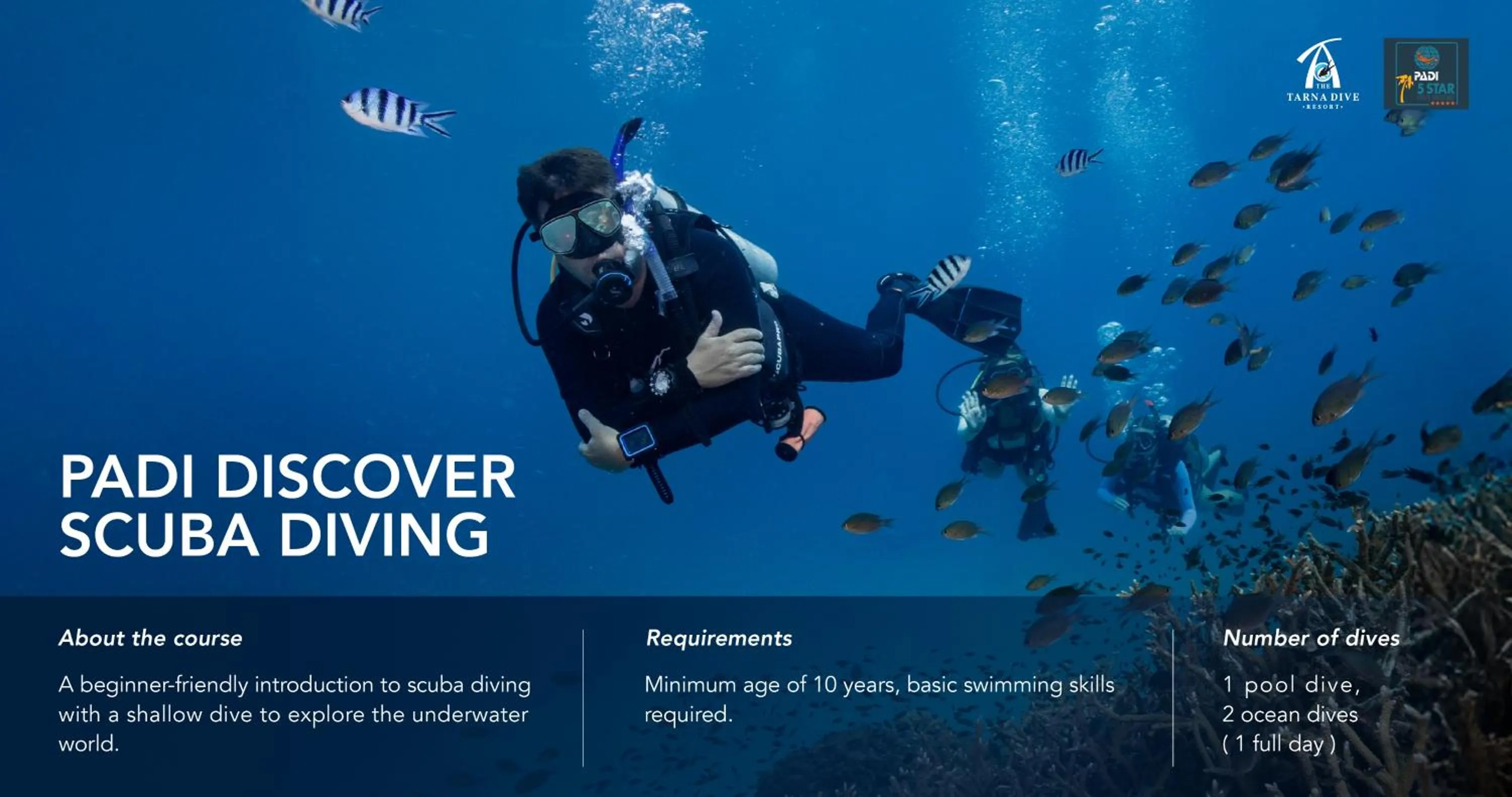 Activities in The Tarna Resort, Koh Tao