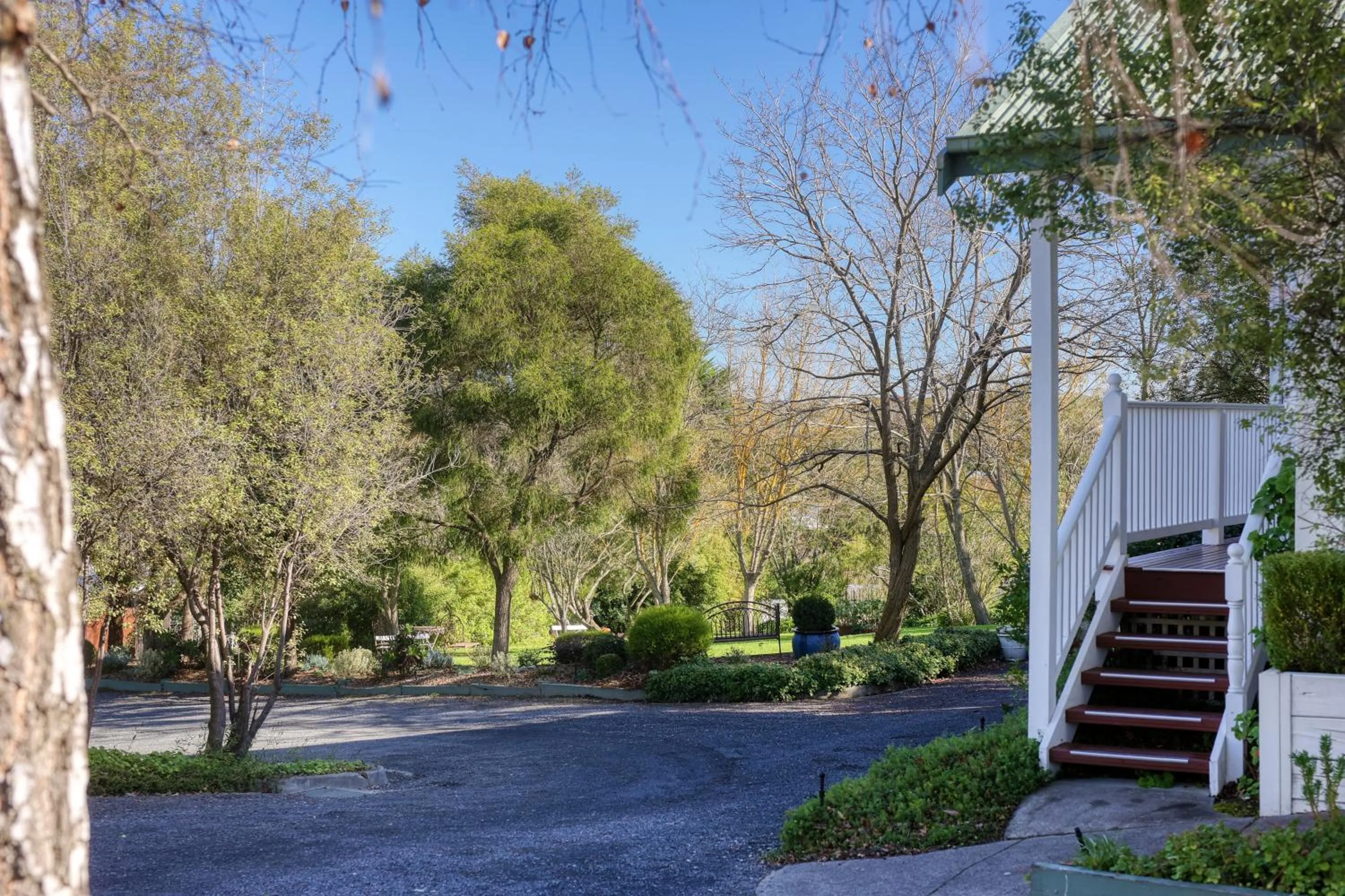 Garden view in Yarra Gables