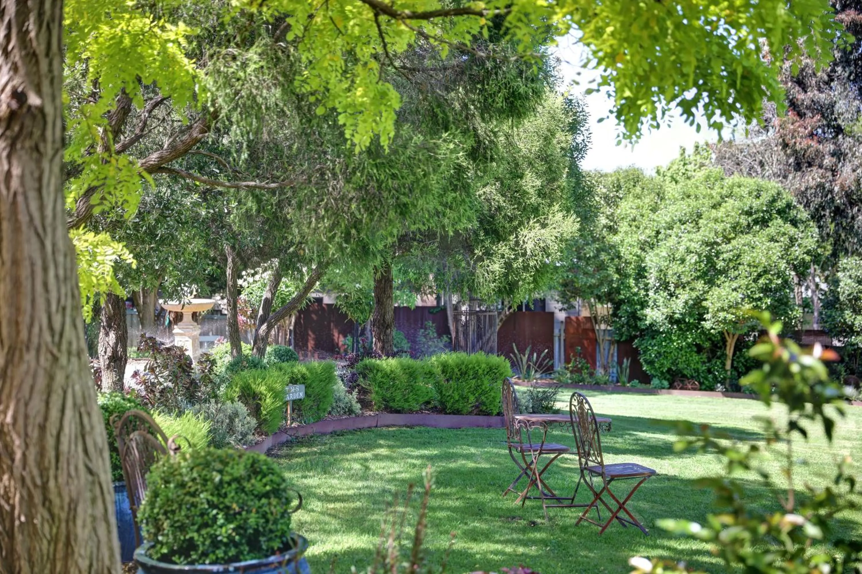 Garden in Yarra Gables