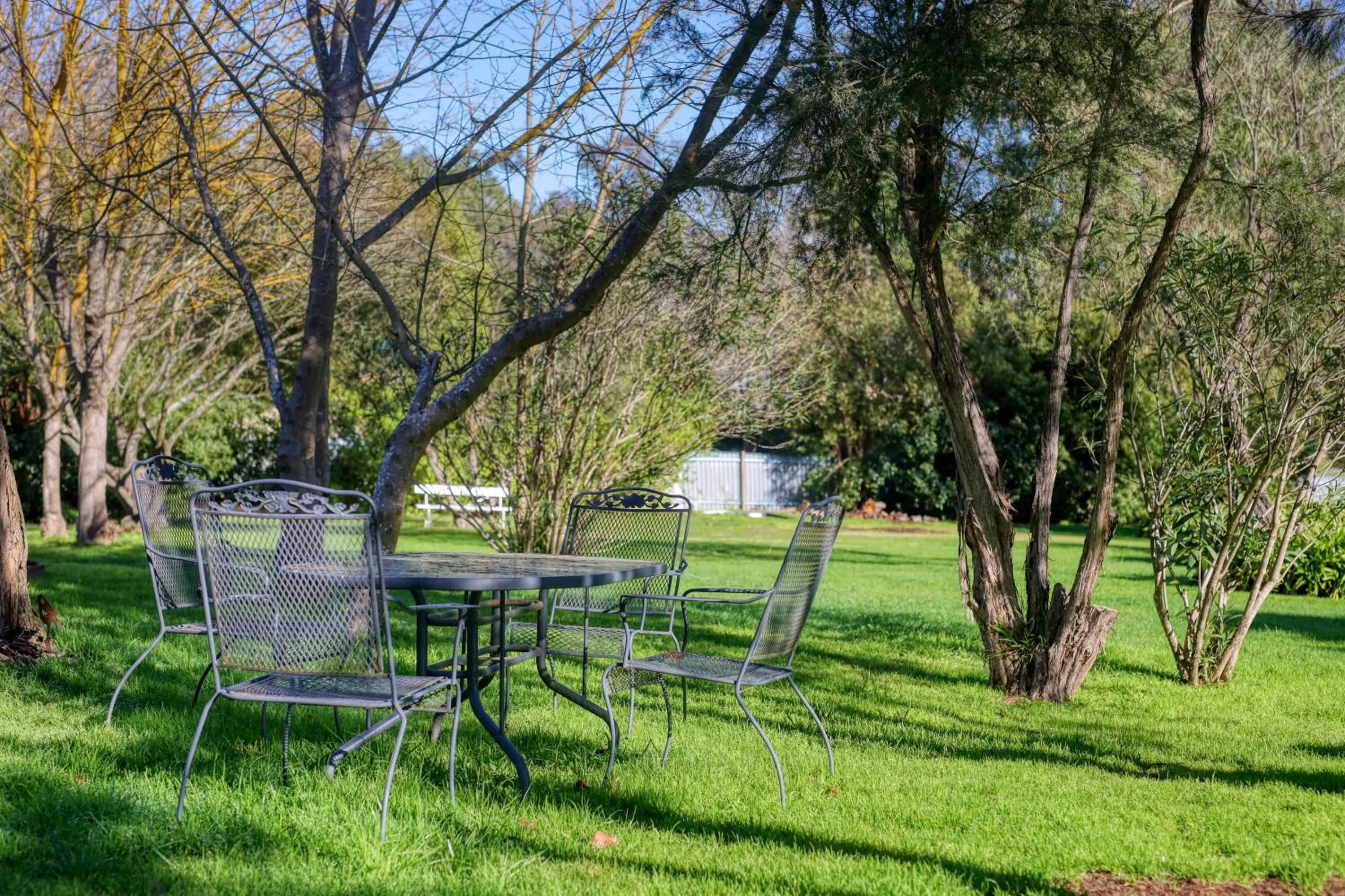 Garden in Yarra Gables