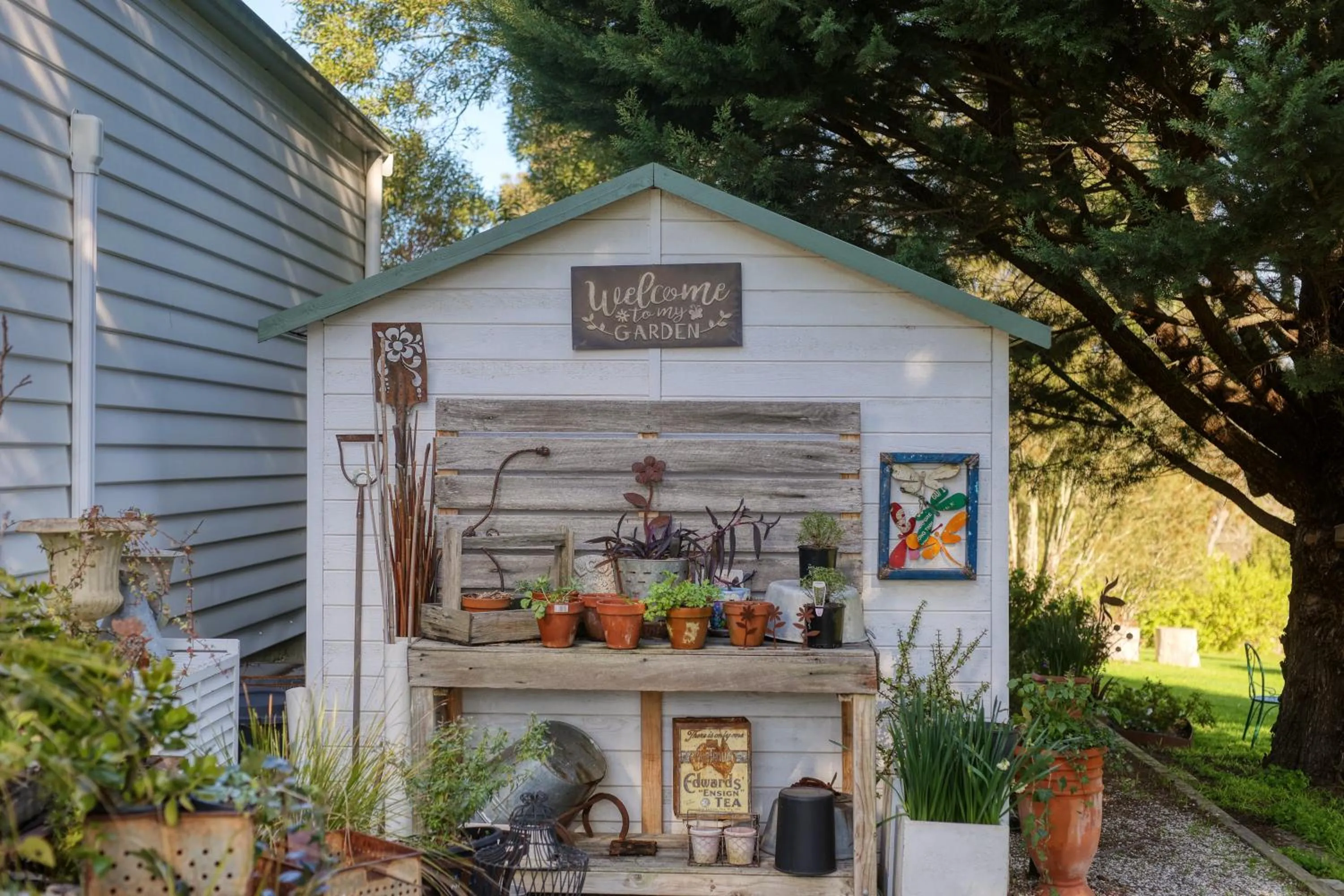 Garden in Yarra Gables