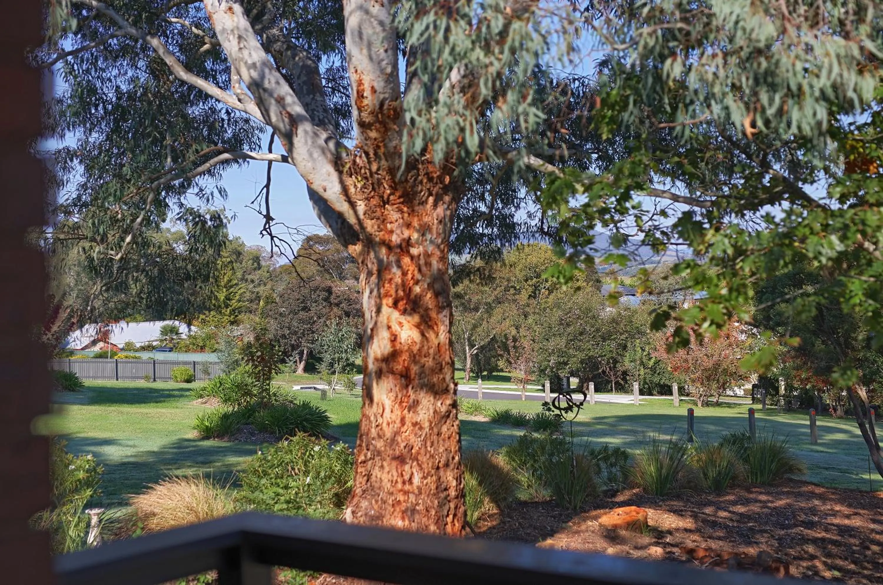 View (from property/room) in Yarra Gables