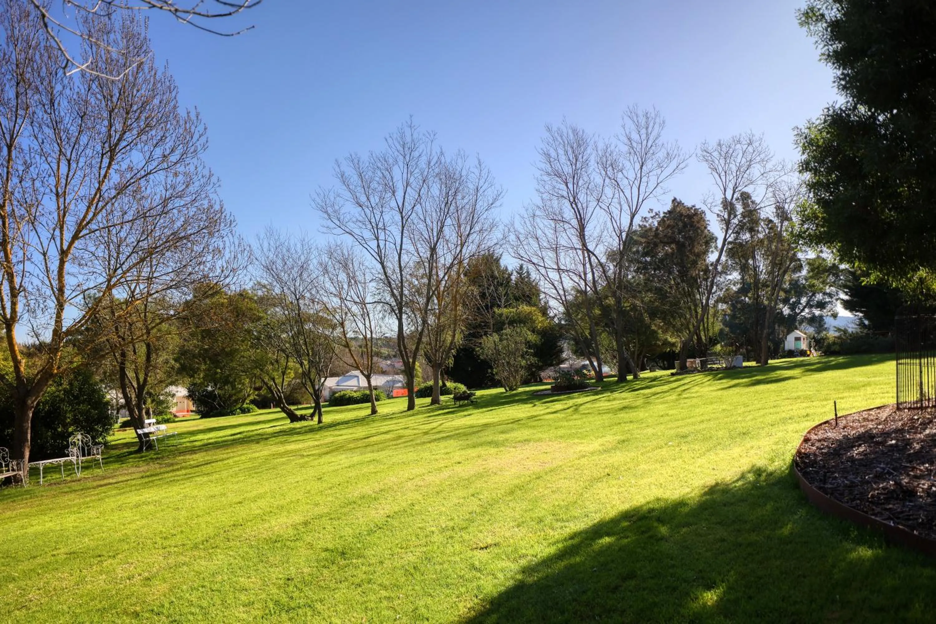 Garden in Yarra Gables