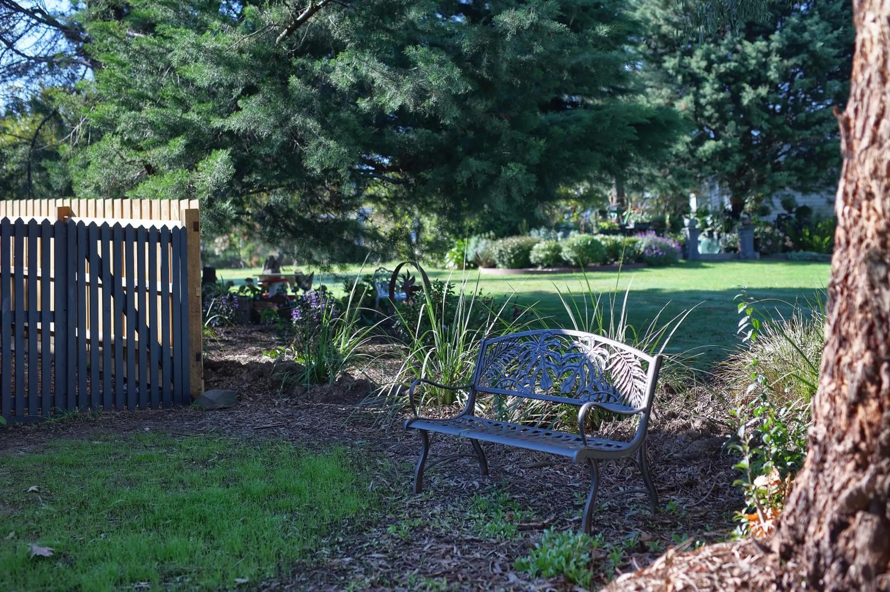 Garden in Yarra Gables
