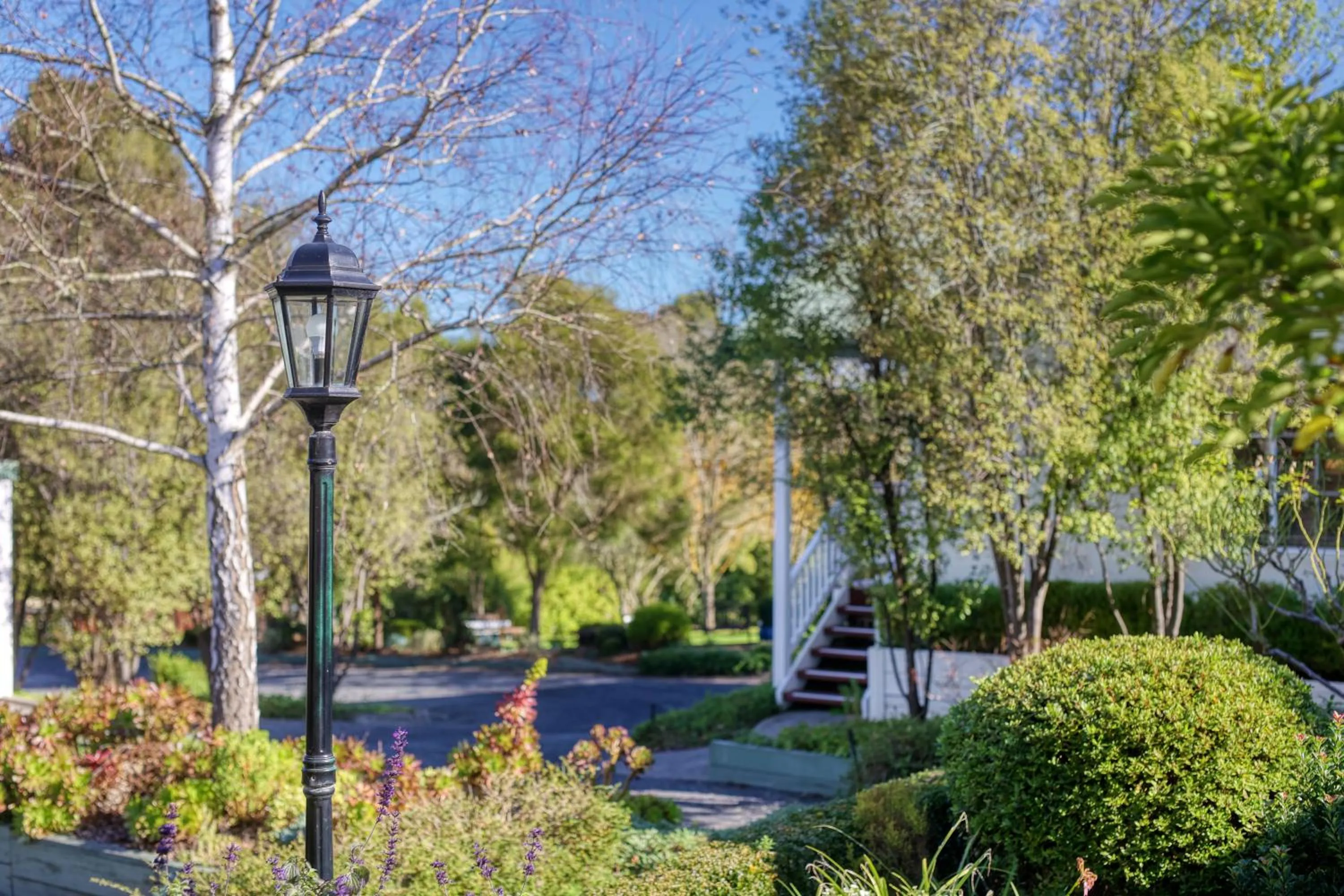 Garden view in Yarra Gables
