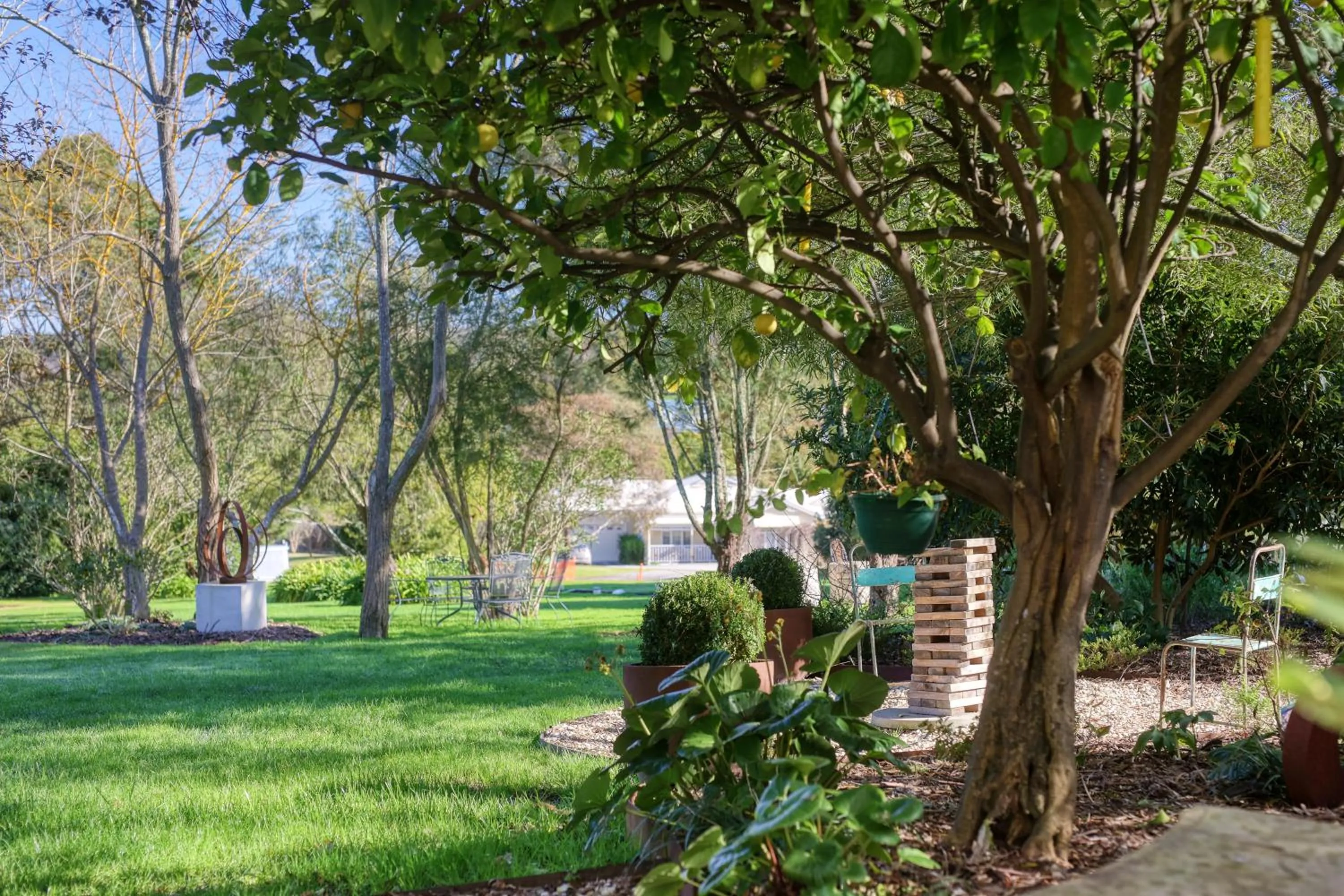 Garden in Yarra Gables