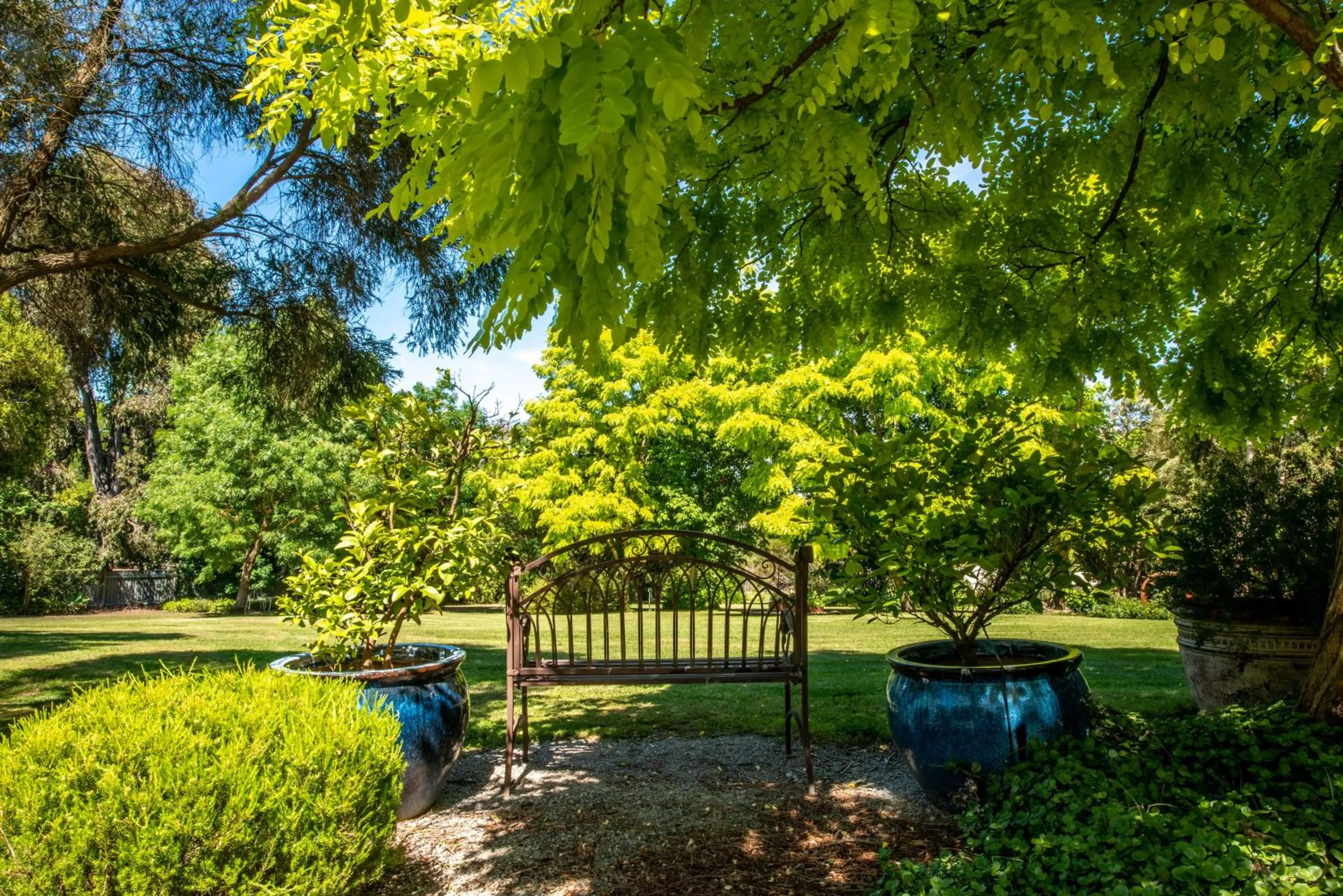 Garden in Yarra Gables