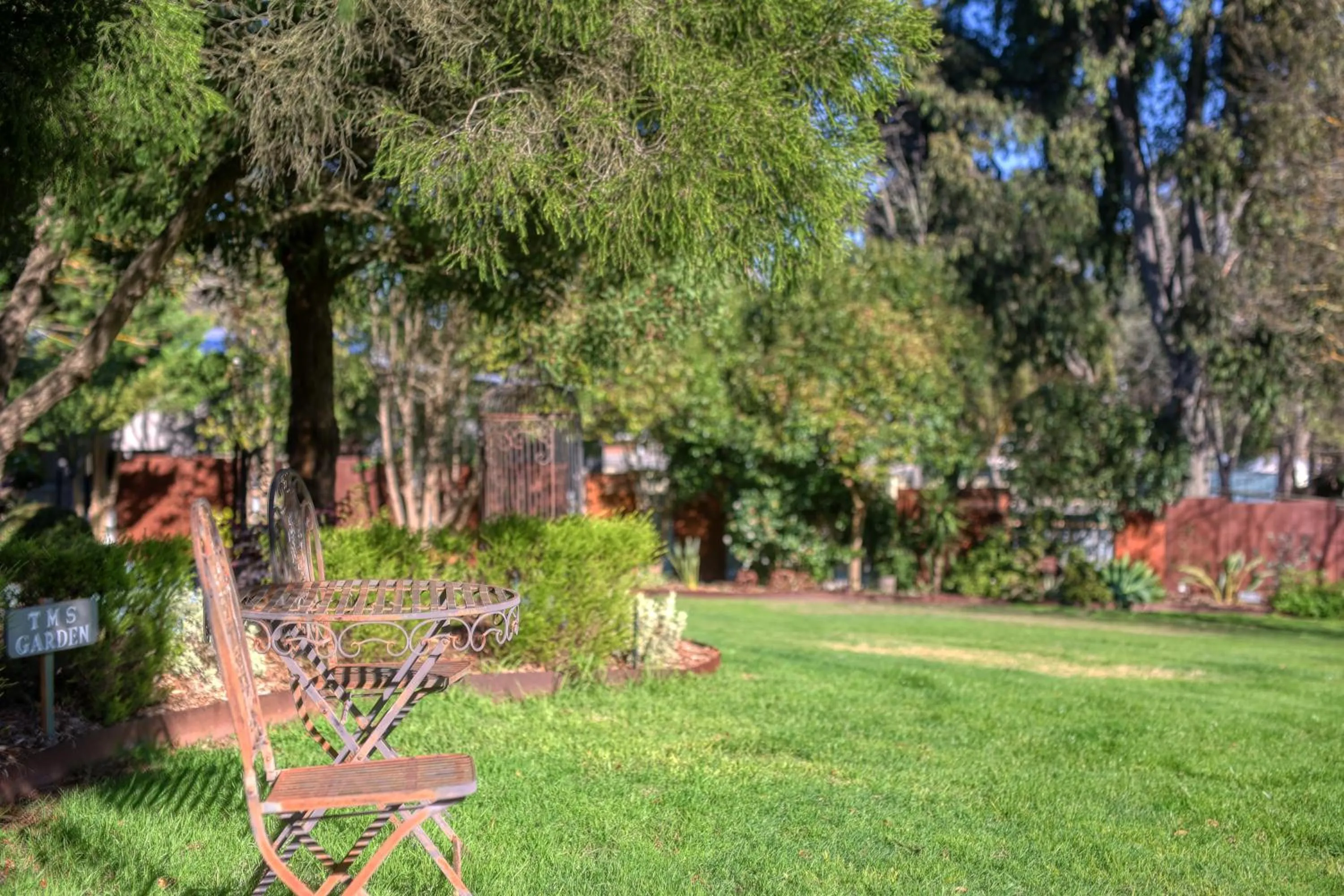 Garden in Yarra Gables