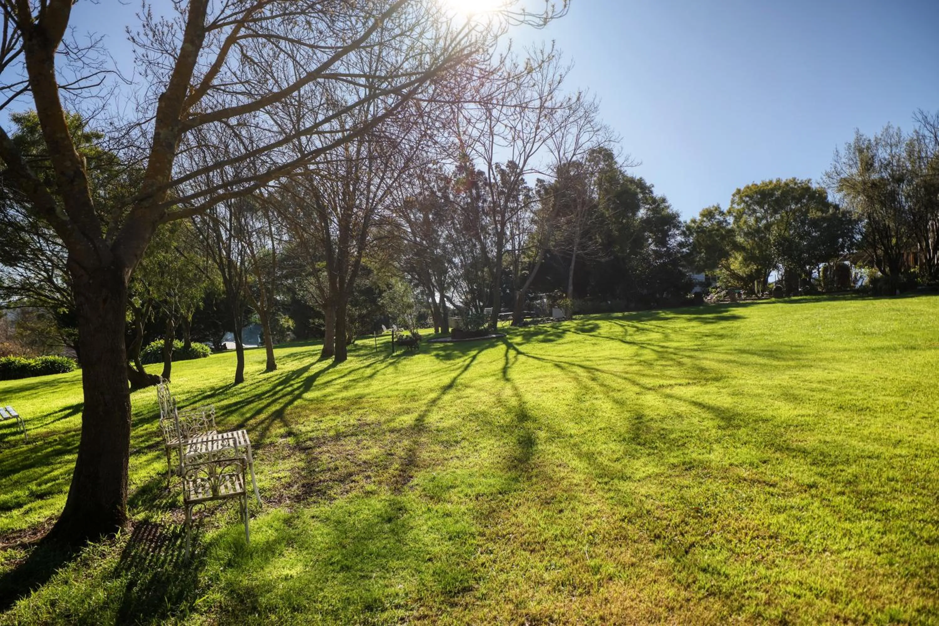 Garden view in Yarra Gables
