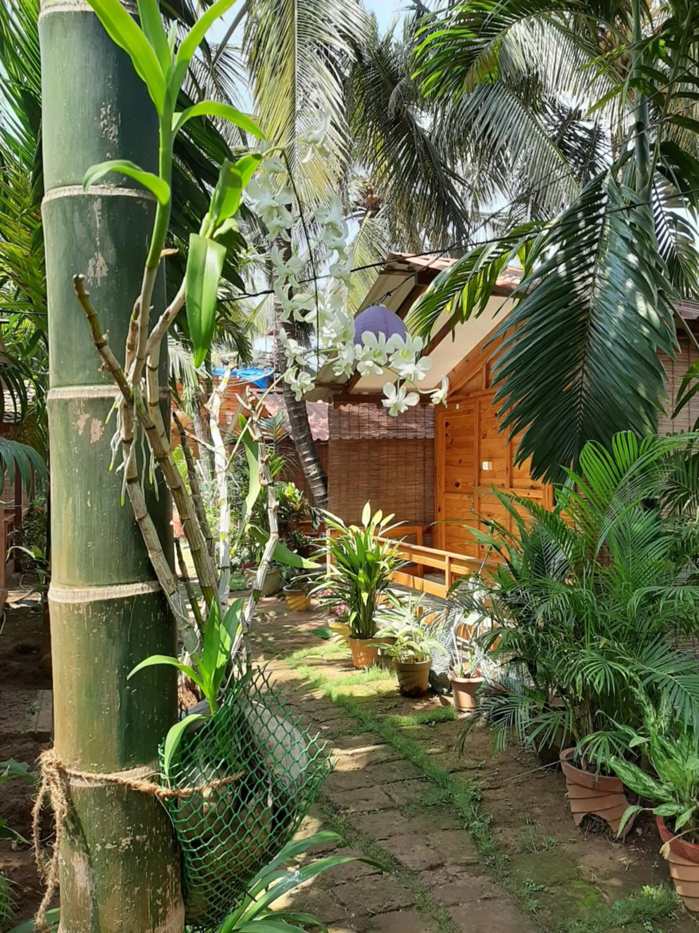 Agonda Holiday Home