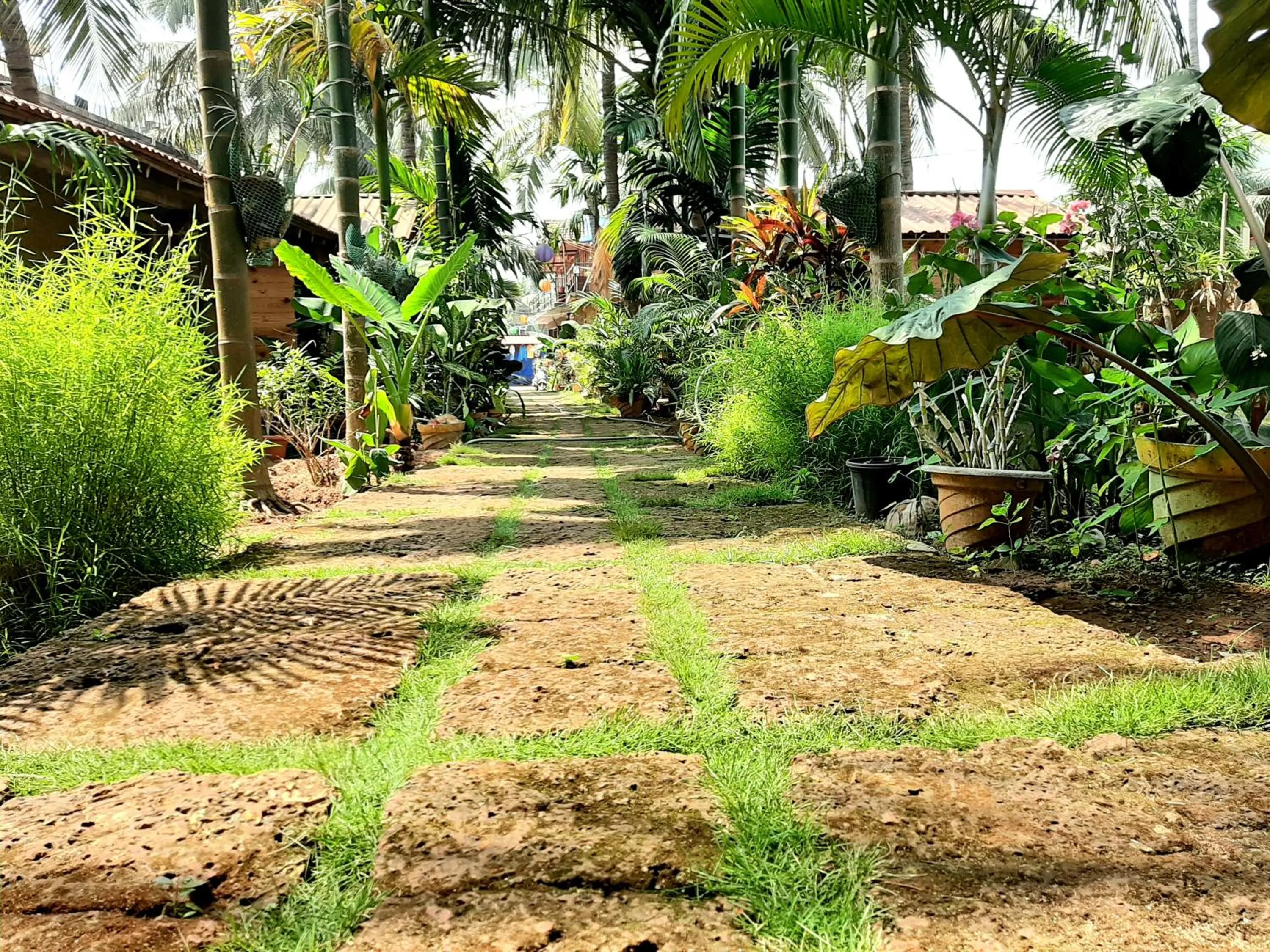 Agonda Holiday Home