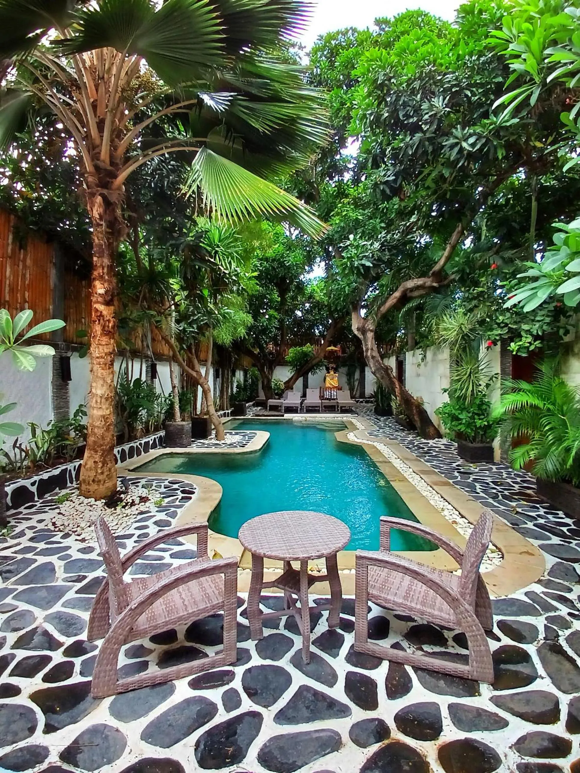 Swimming pool in Scallywags Mango Retreat