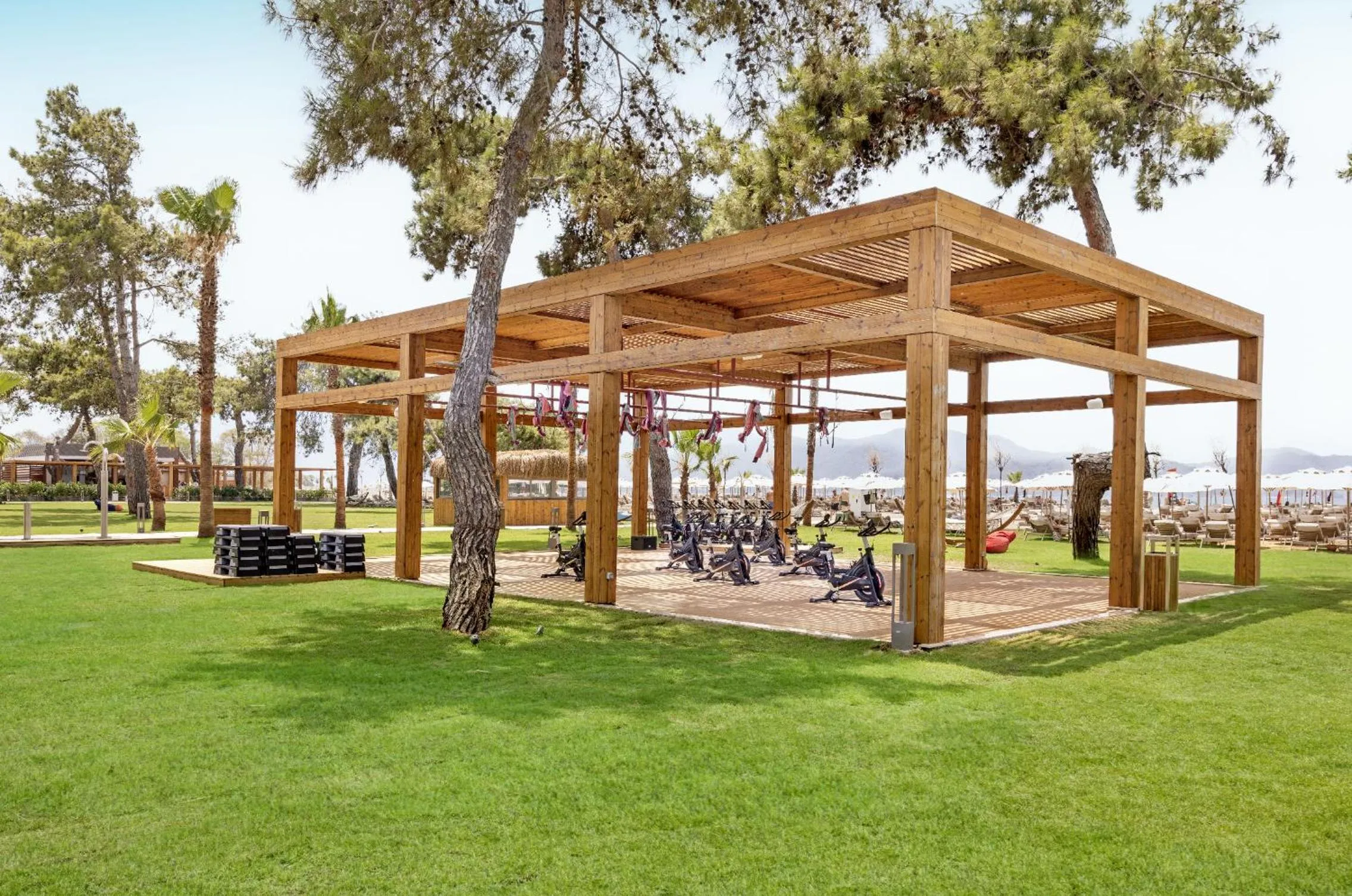 Sports in Liberty Signa