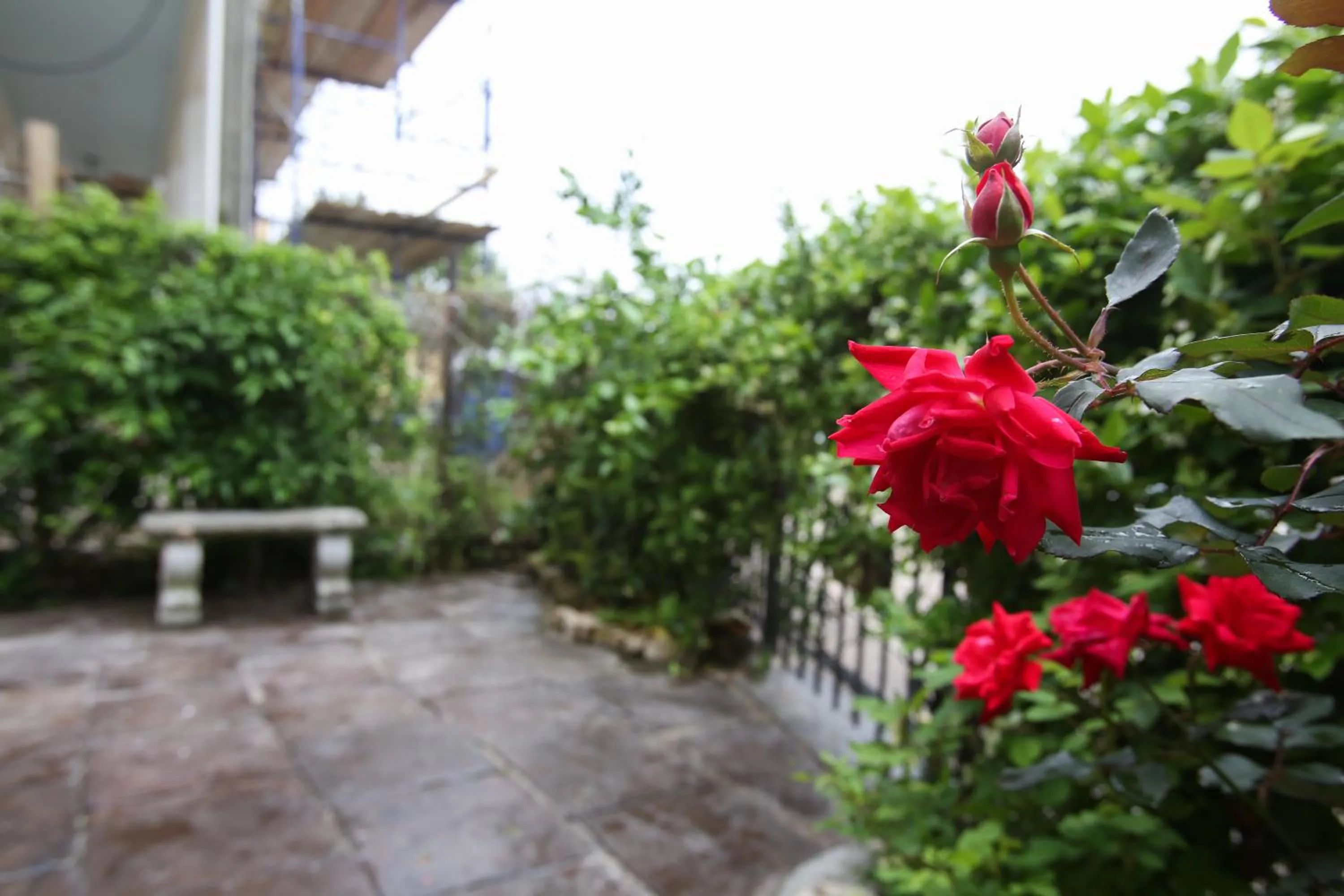 Garden in Fleur De Lis Mansion