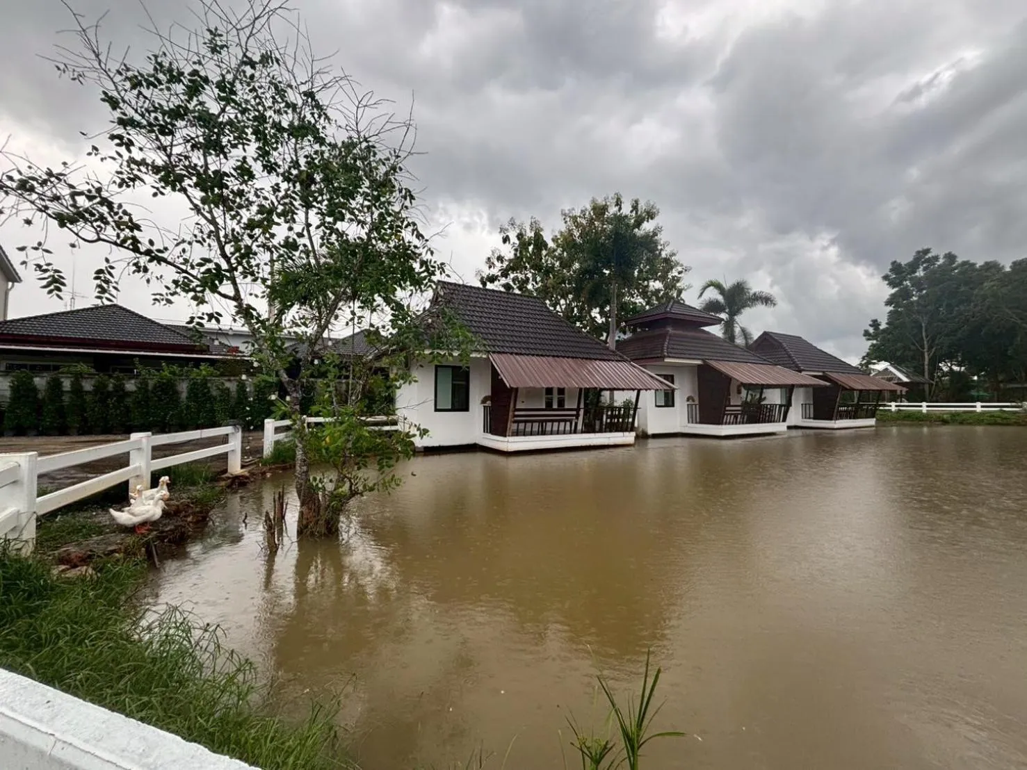 Natural landscape in Kenikar Raintree Residence Hotel