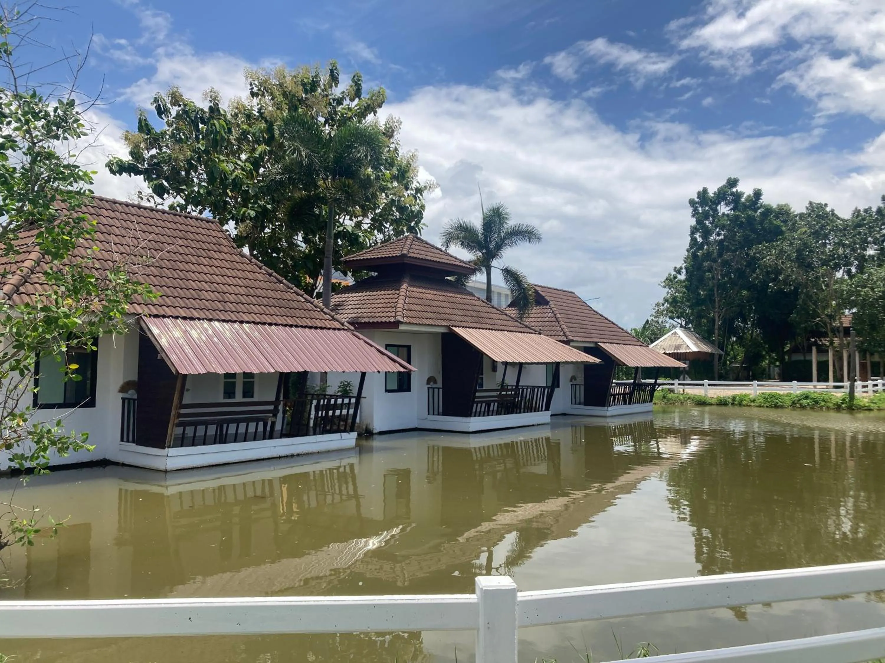 View (from property/room) in Kenikar Raintree Residence Hotel