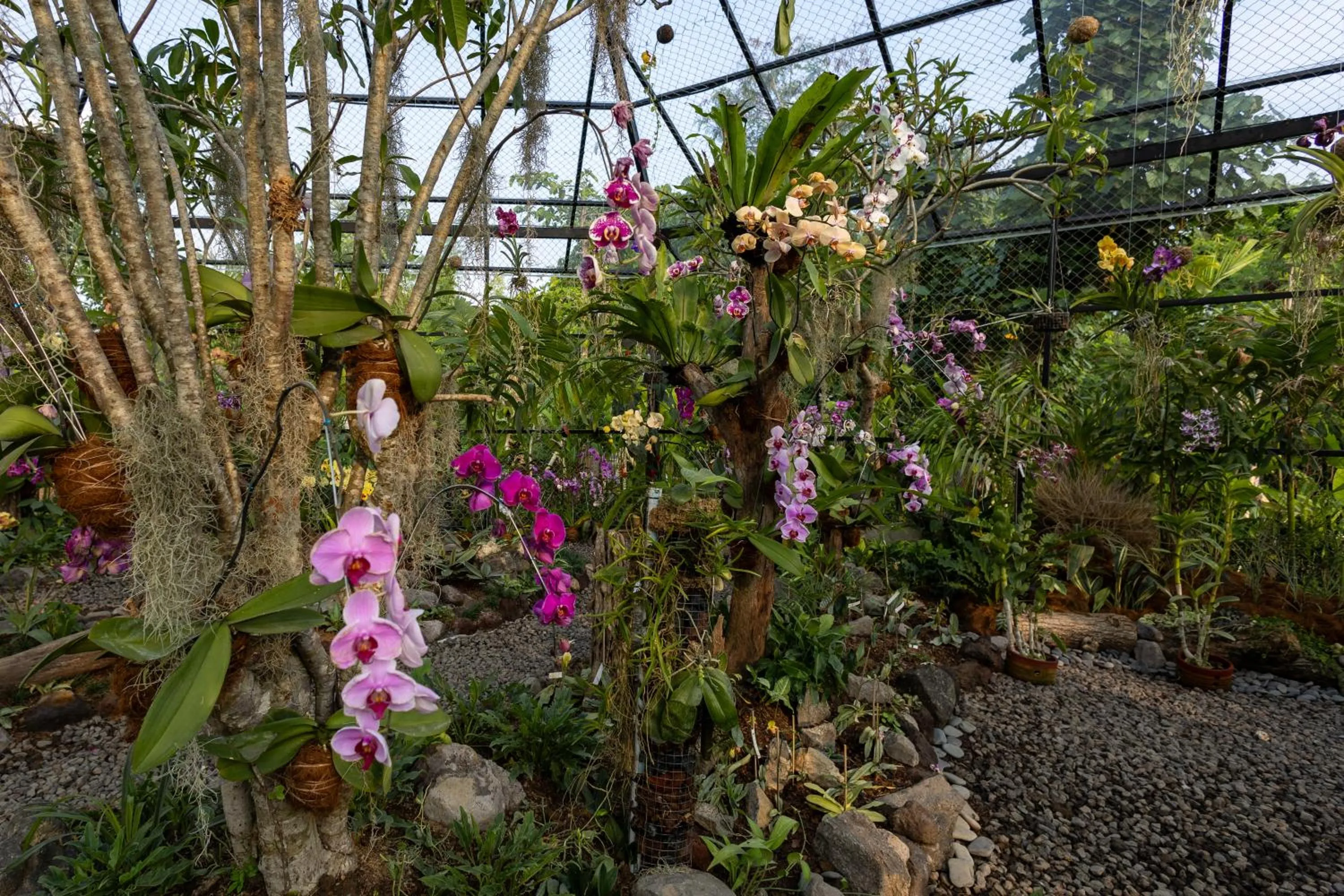 Day in Nuanu Suites & Accommodations