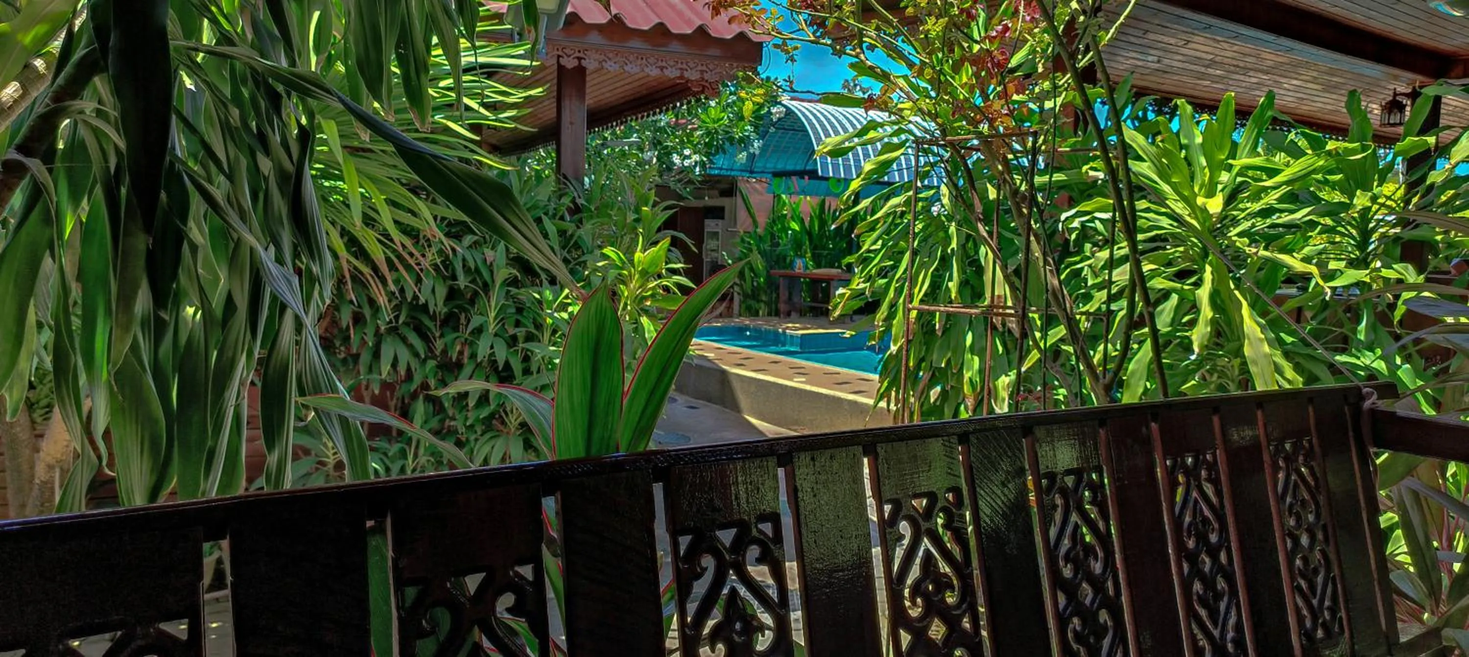 My dream house resort