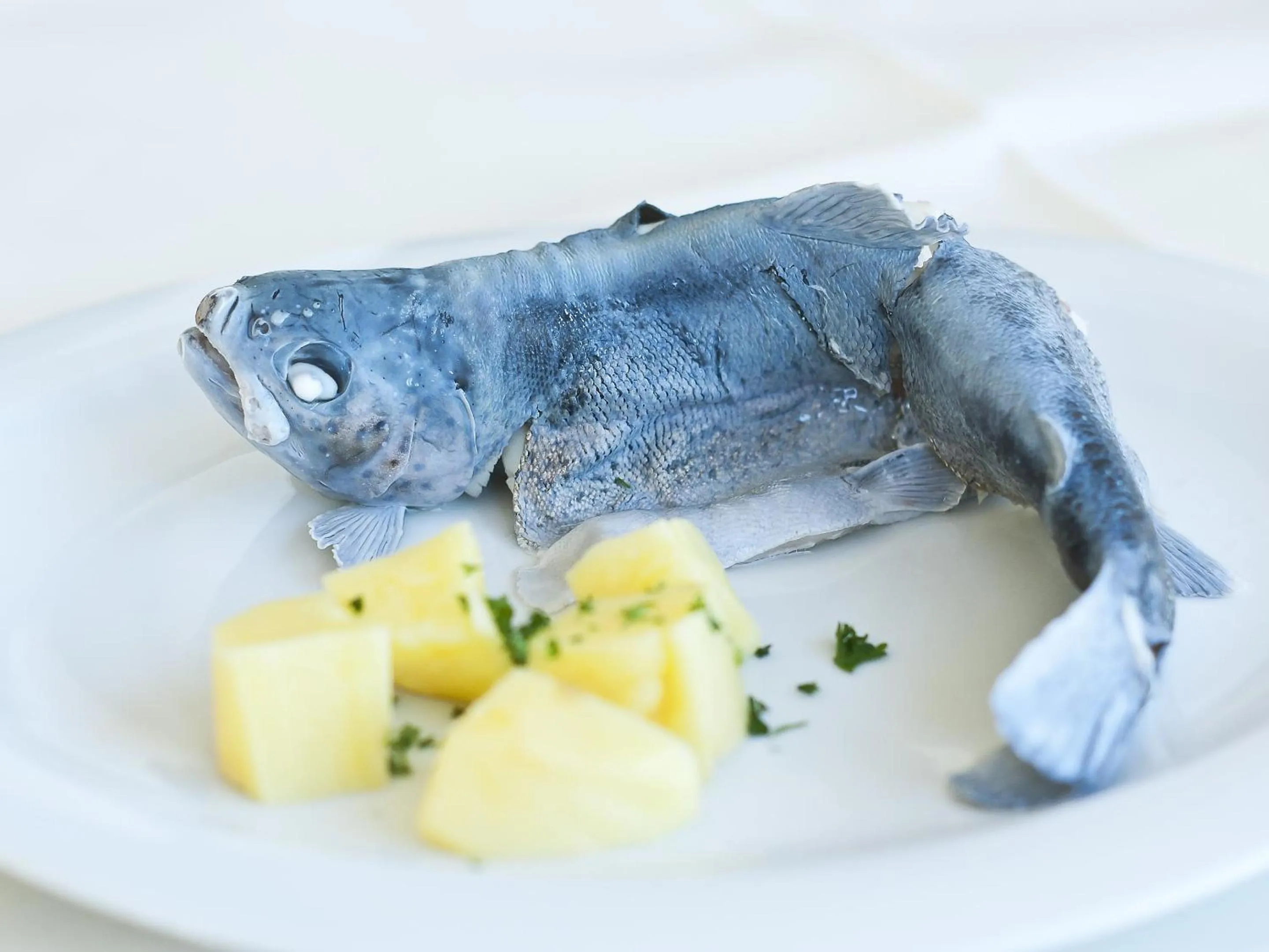 Other in Gasthaus Linde